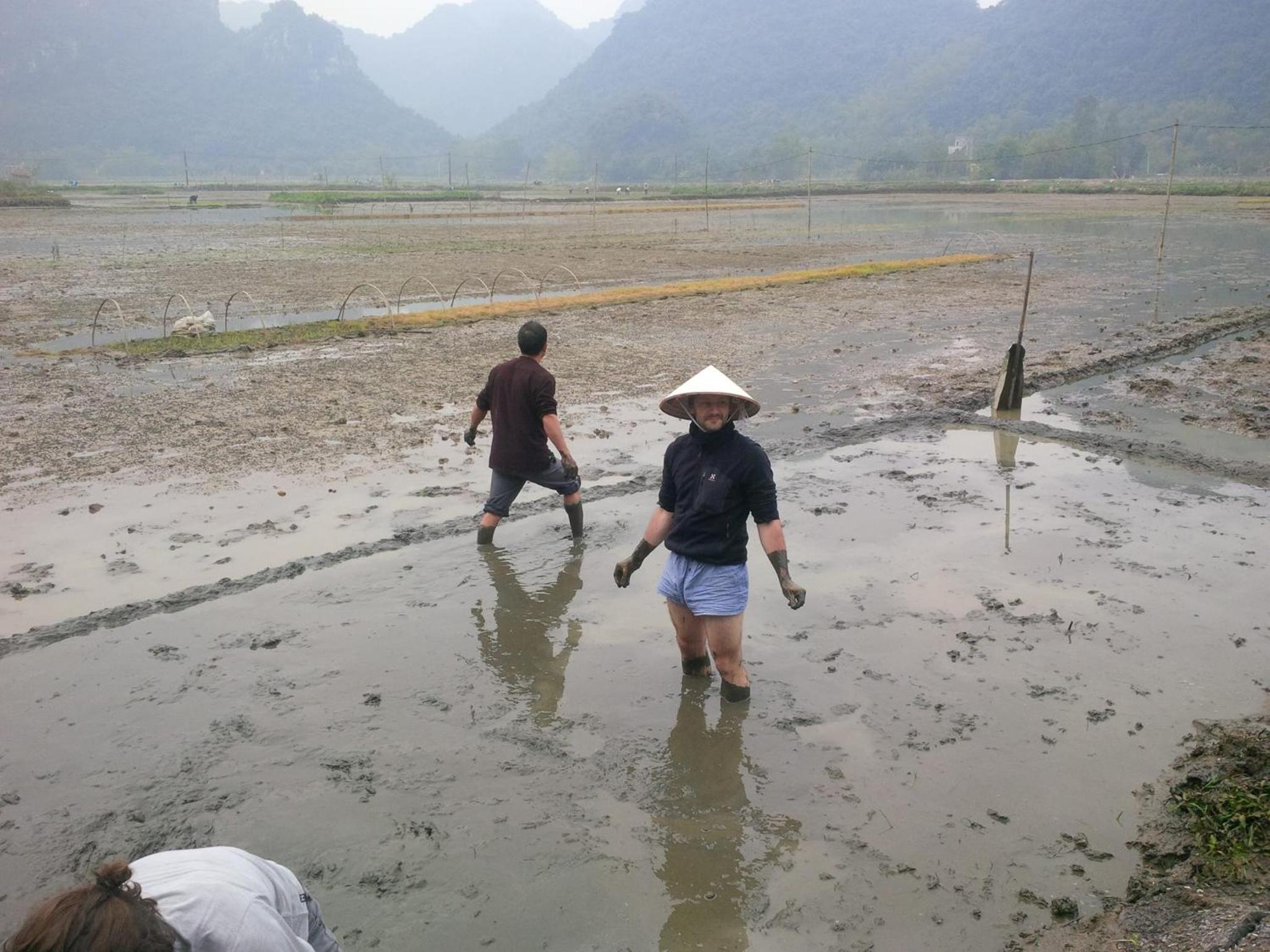 Tam Coc Rice Fields Resort 128