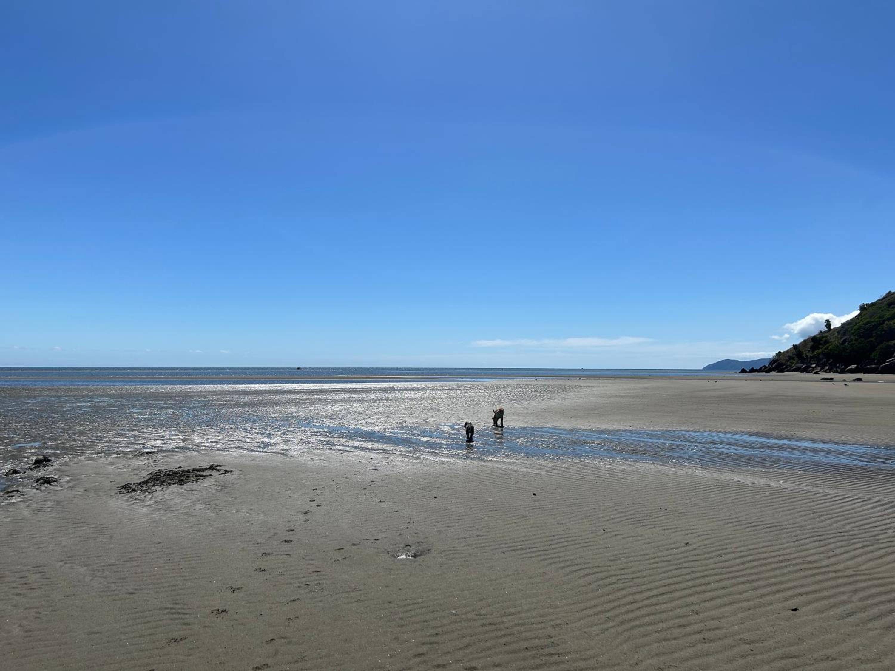 Summerspring Beachfront Accommodation view 3
