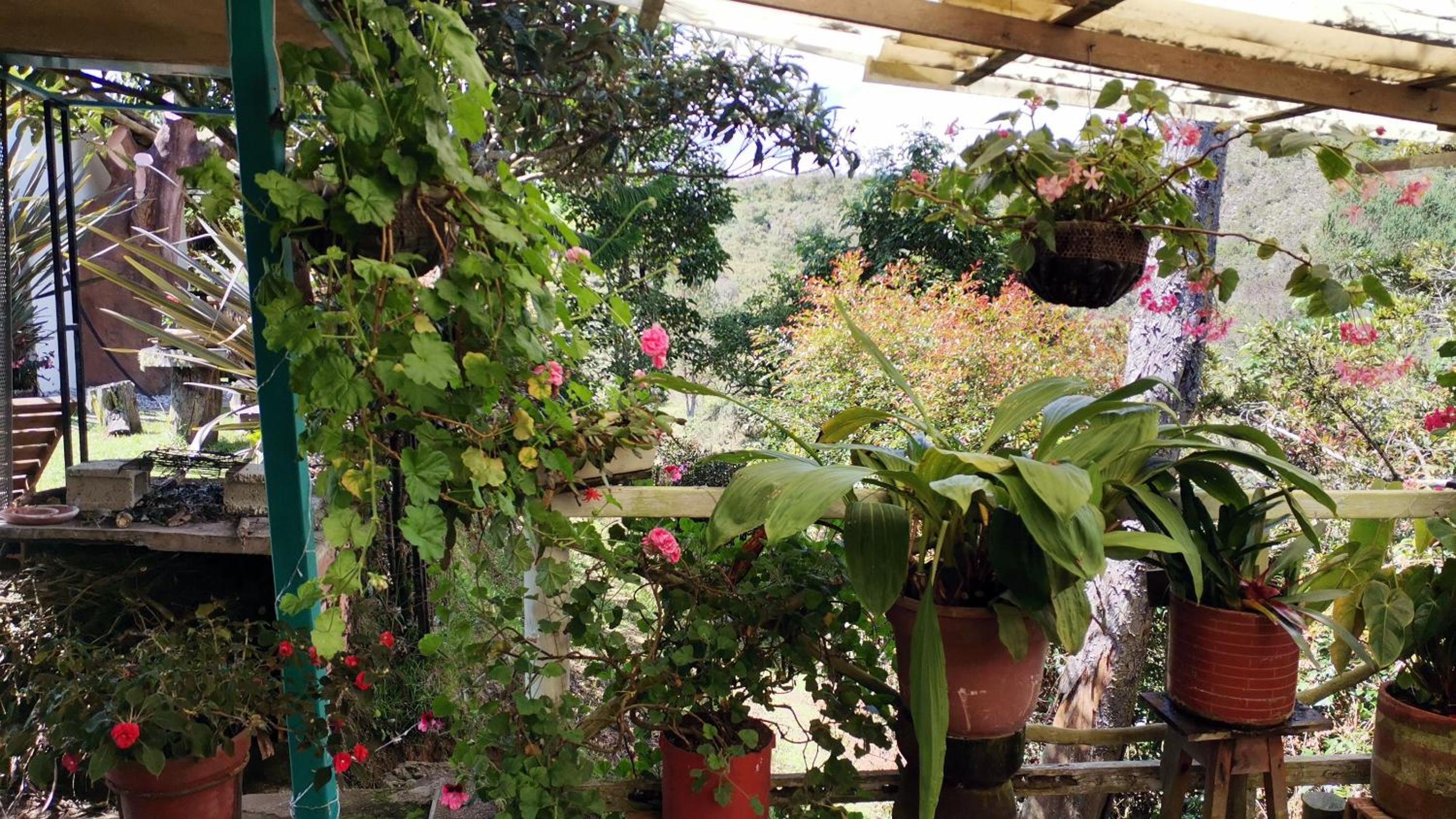 Cabaña Luna Verde