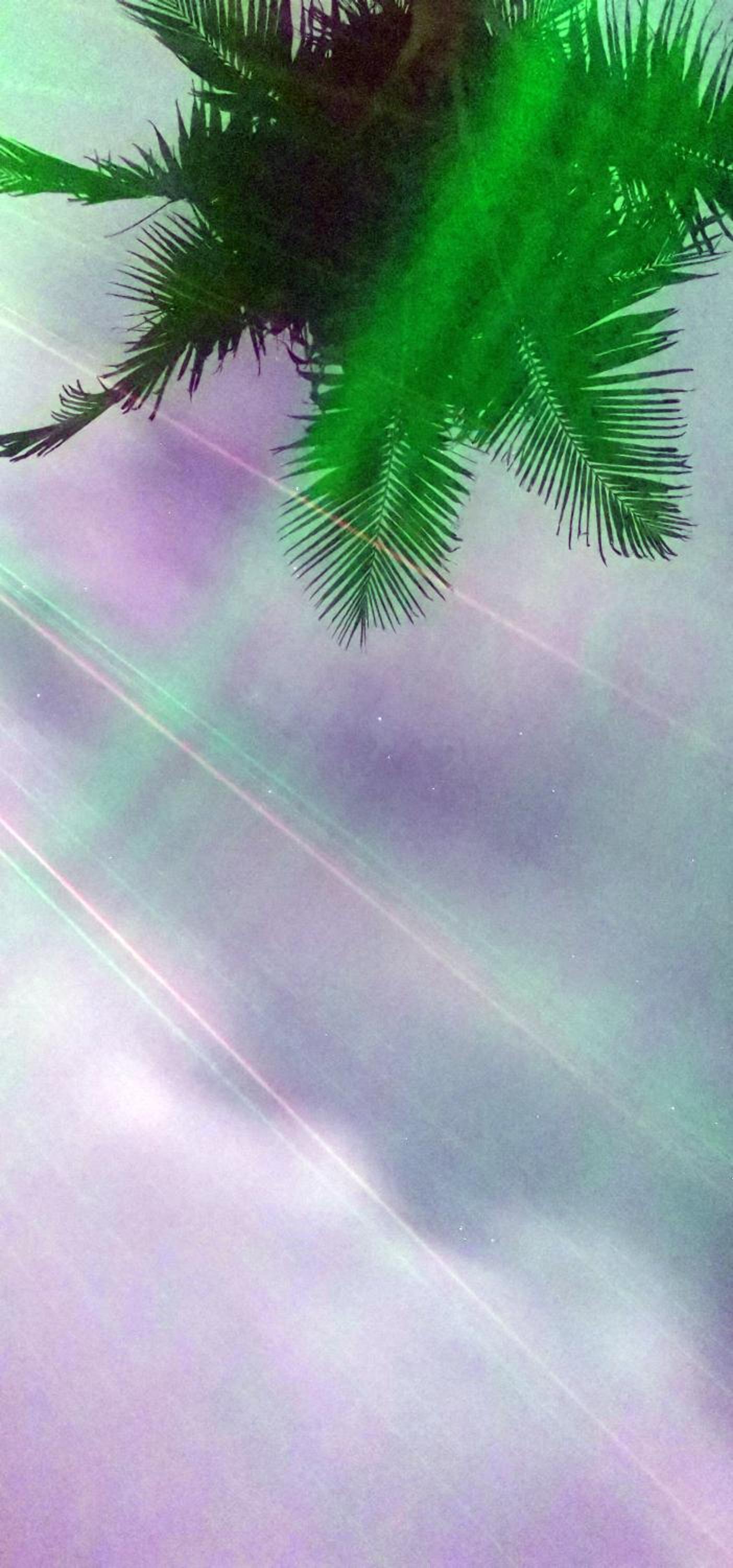 Cabaña Luna Verde