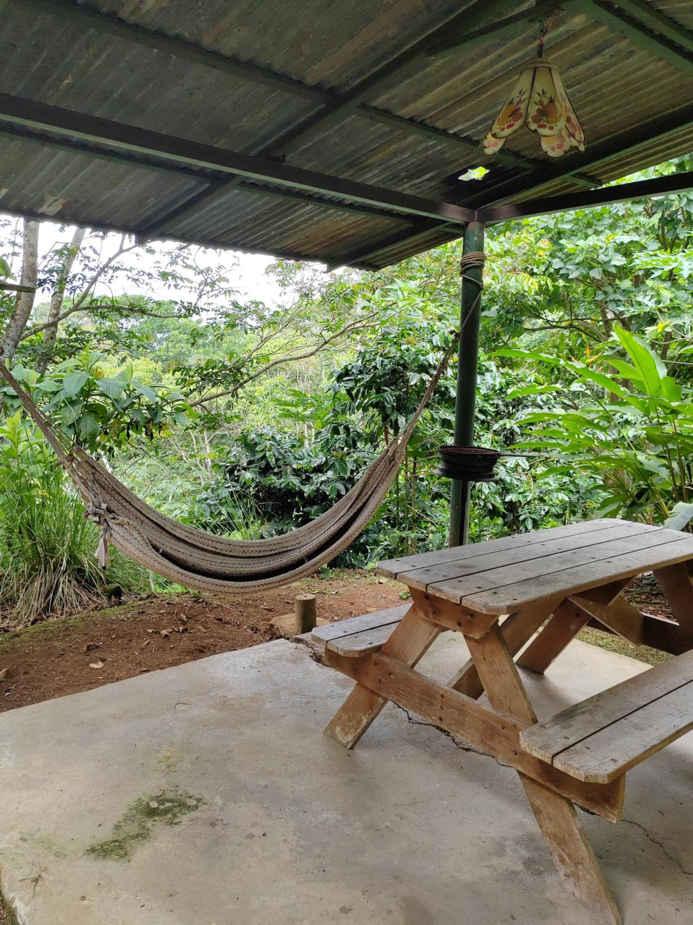 Natural paradise