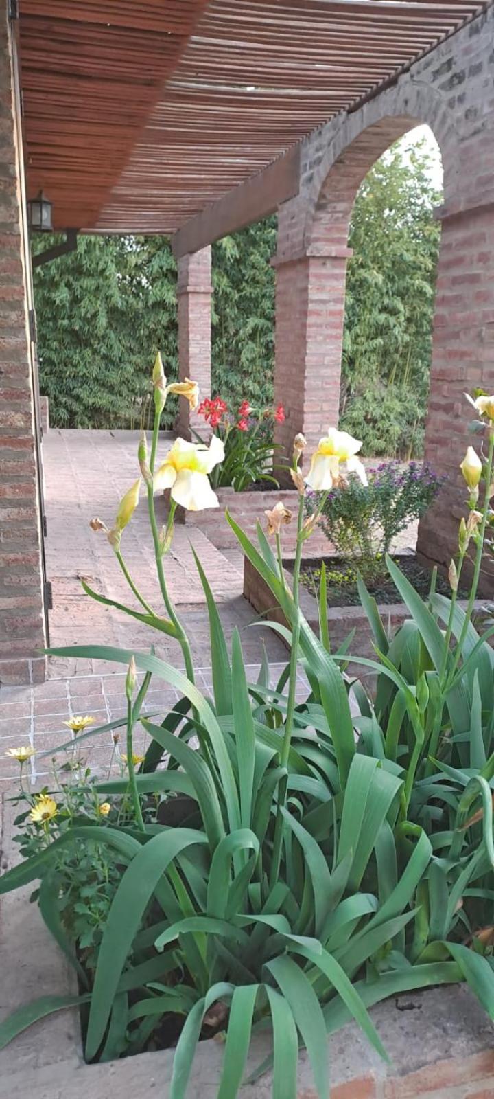 La Calma, casa frente al río, gran parque y pileta