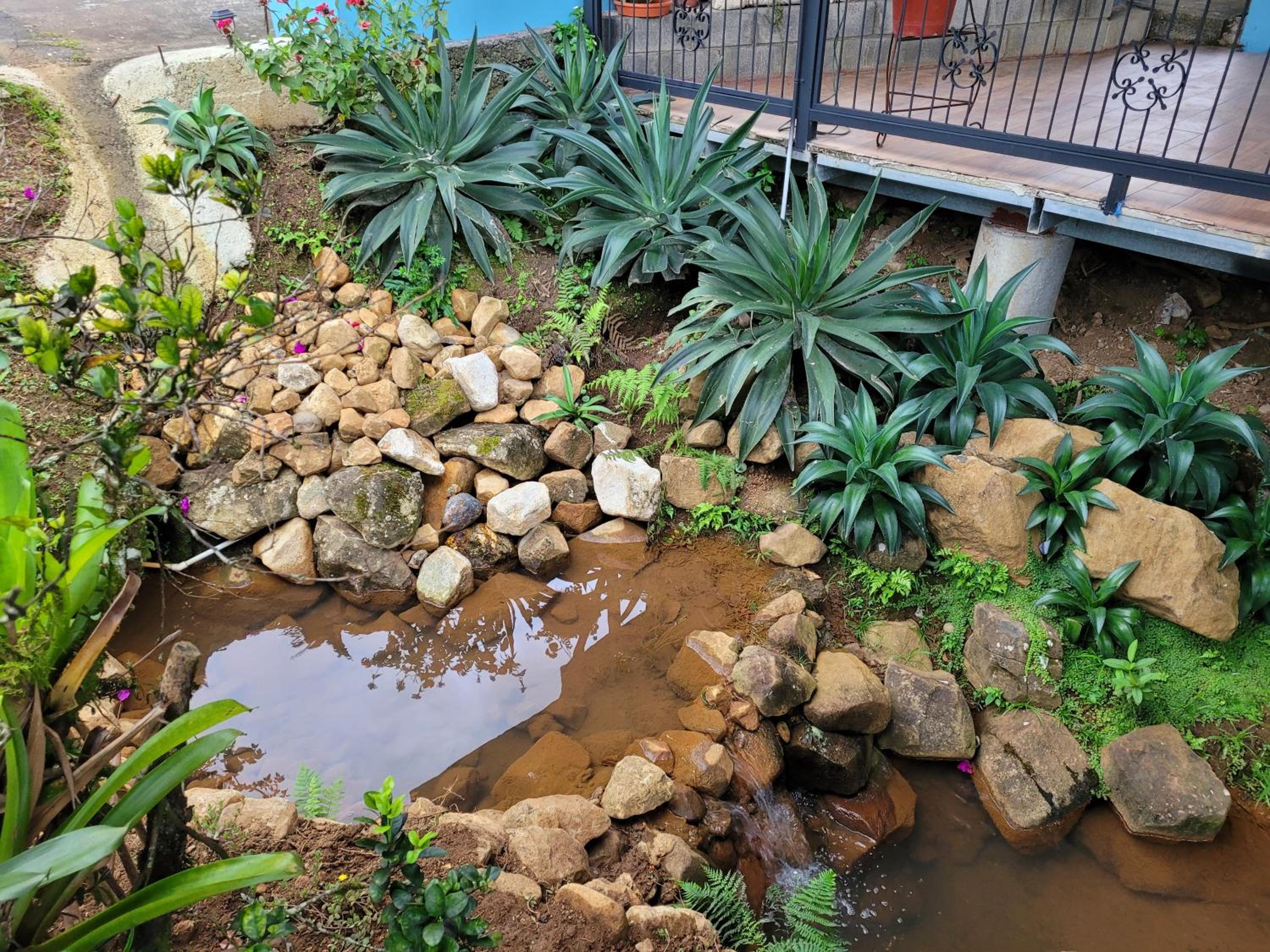 Azulita Oasis