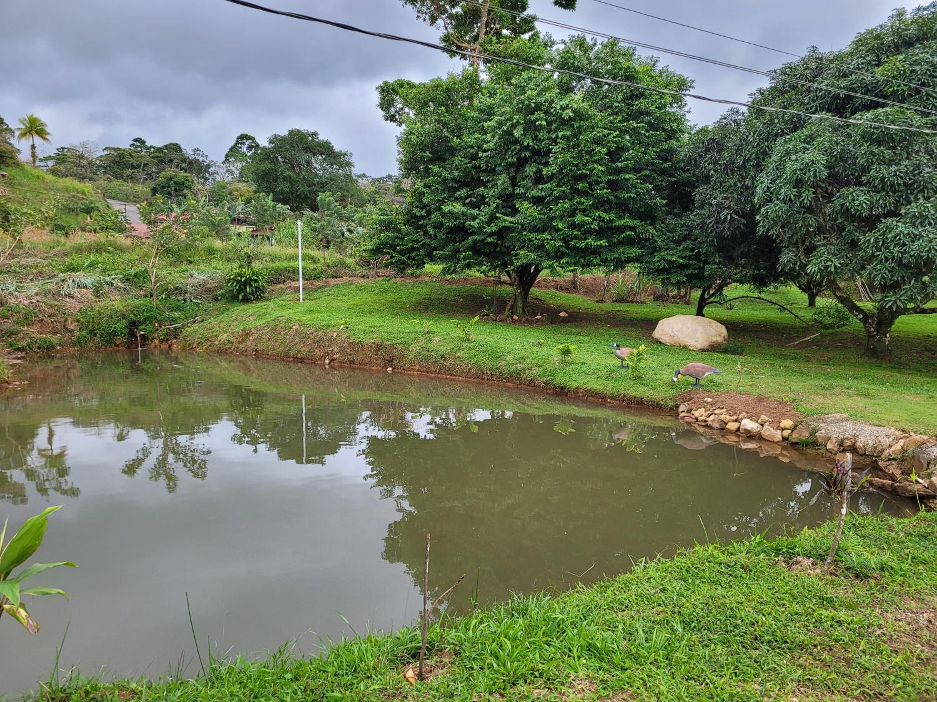 Azulita Oasis