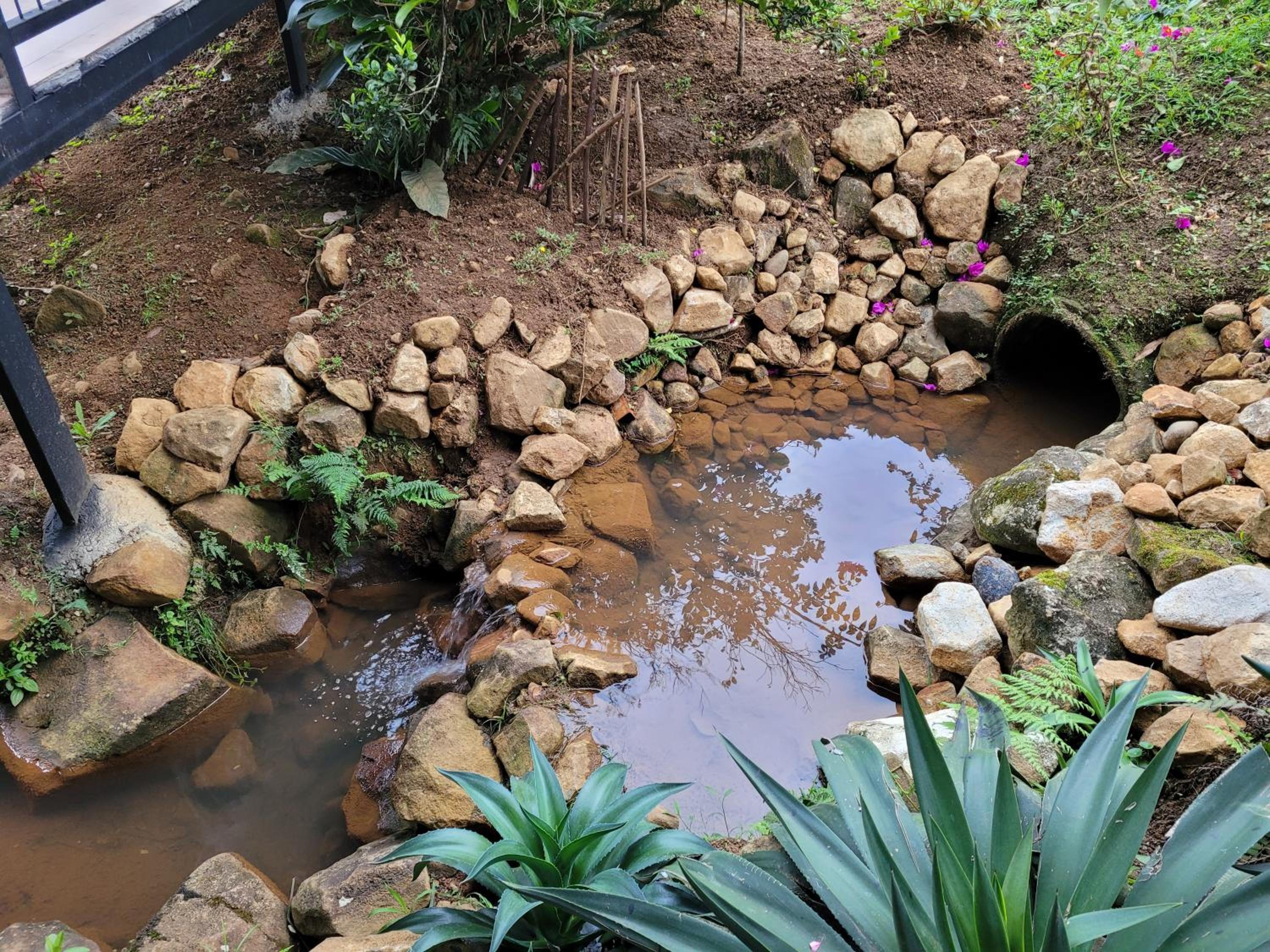 Azulita Oasis