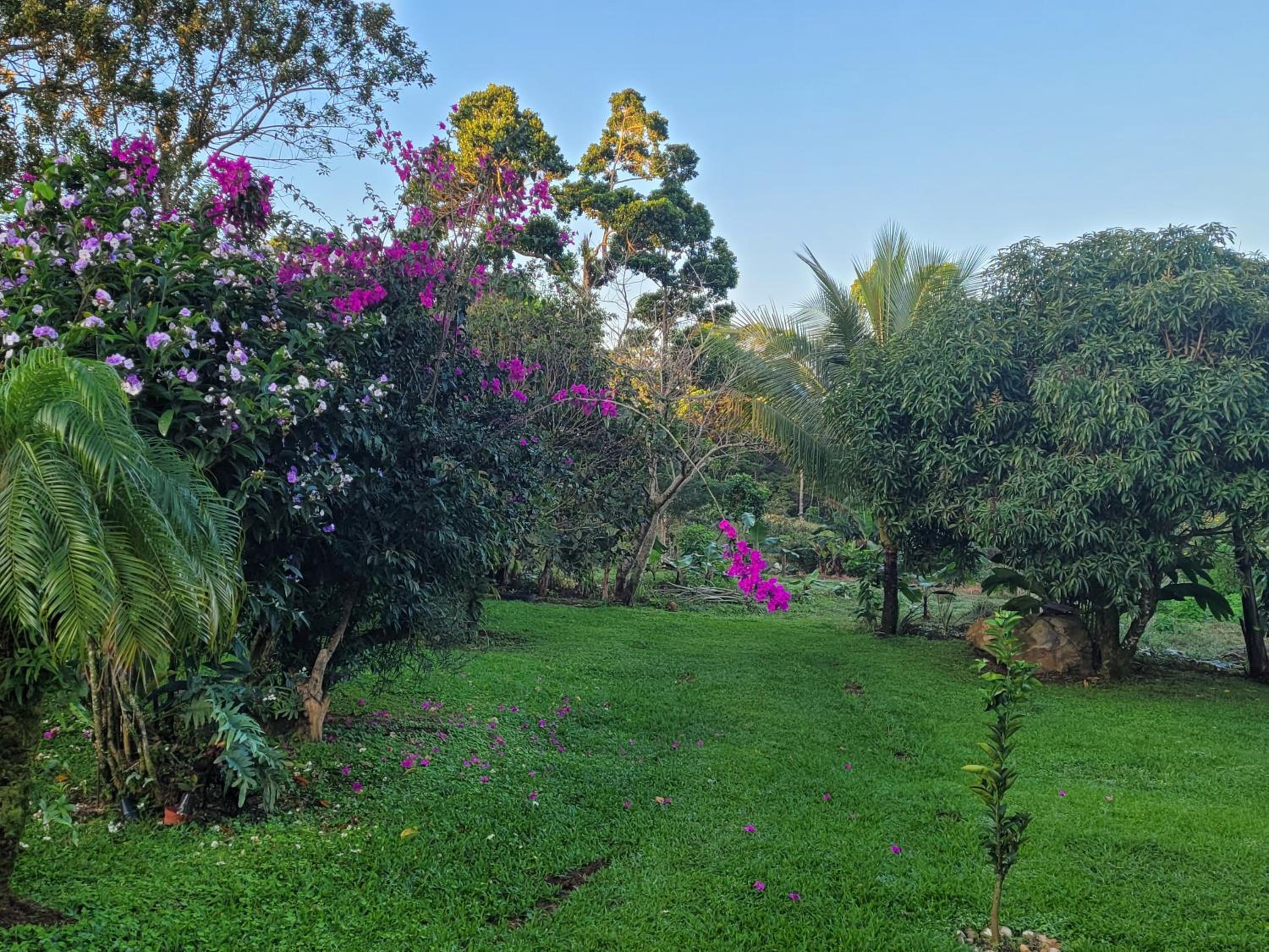 Azulita Oasis