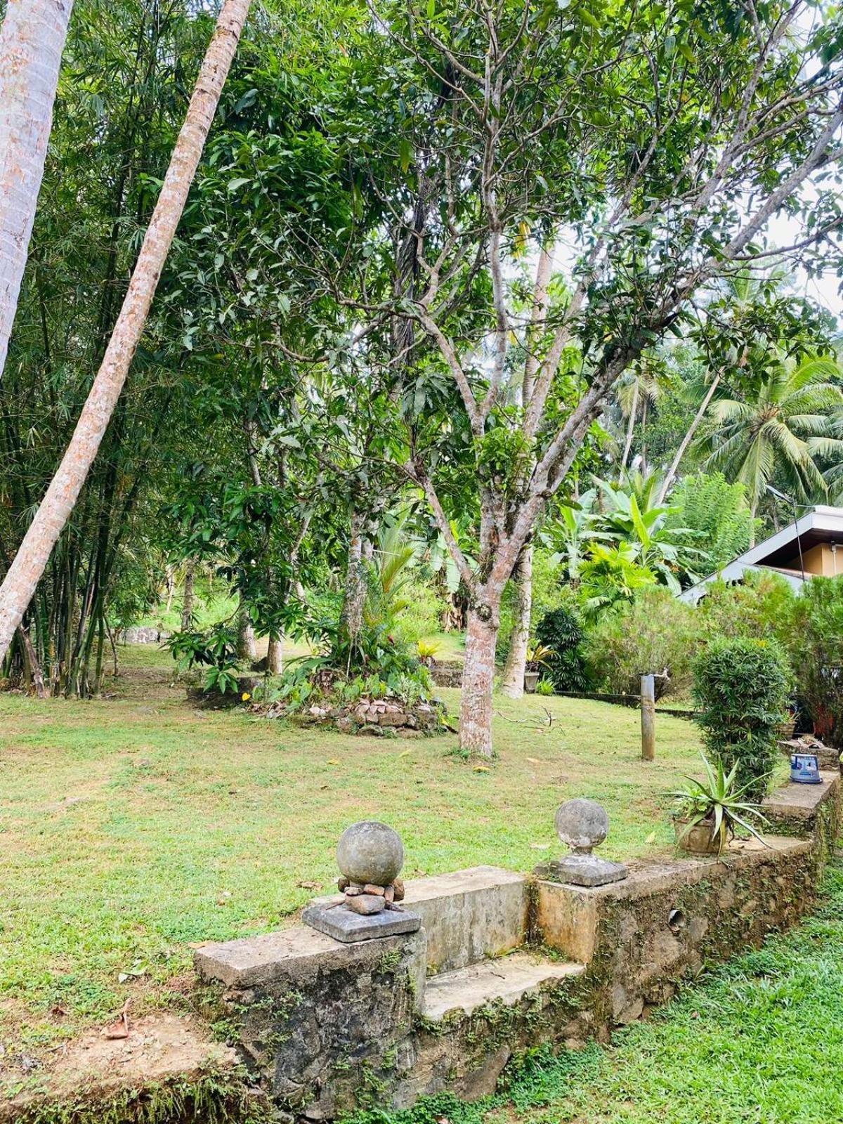 Green nature villa view 2