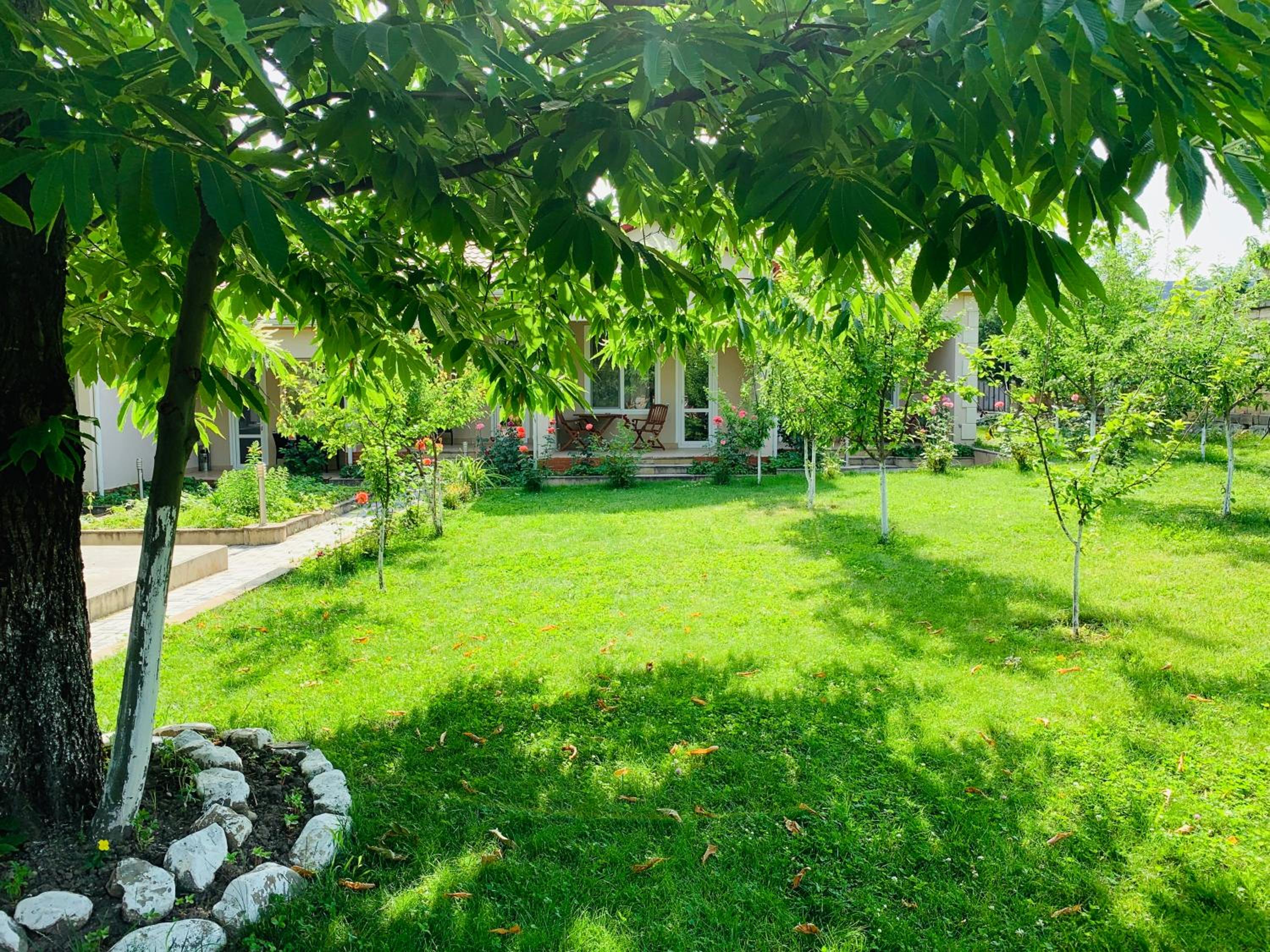 Cozy Family Cottages