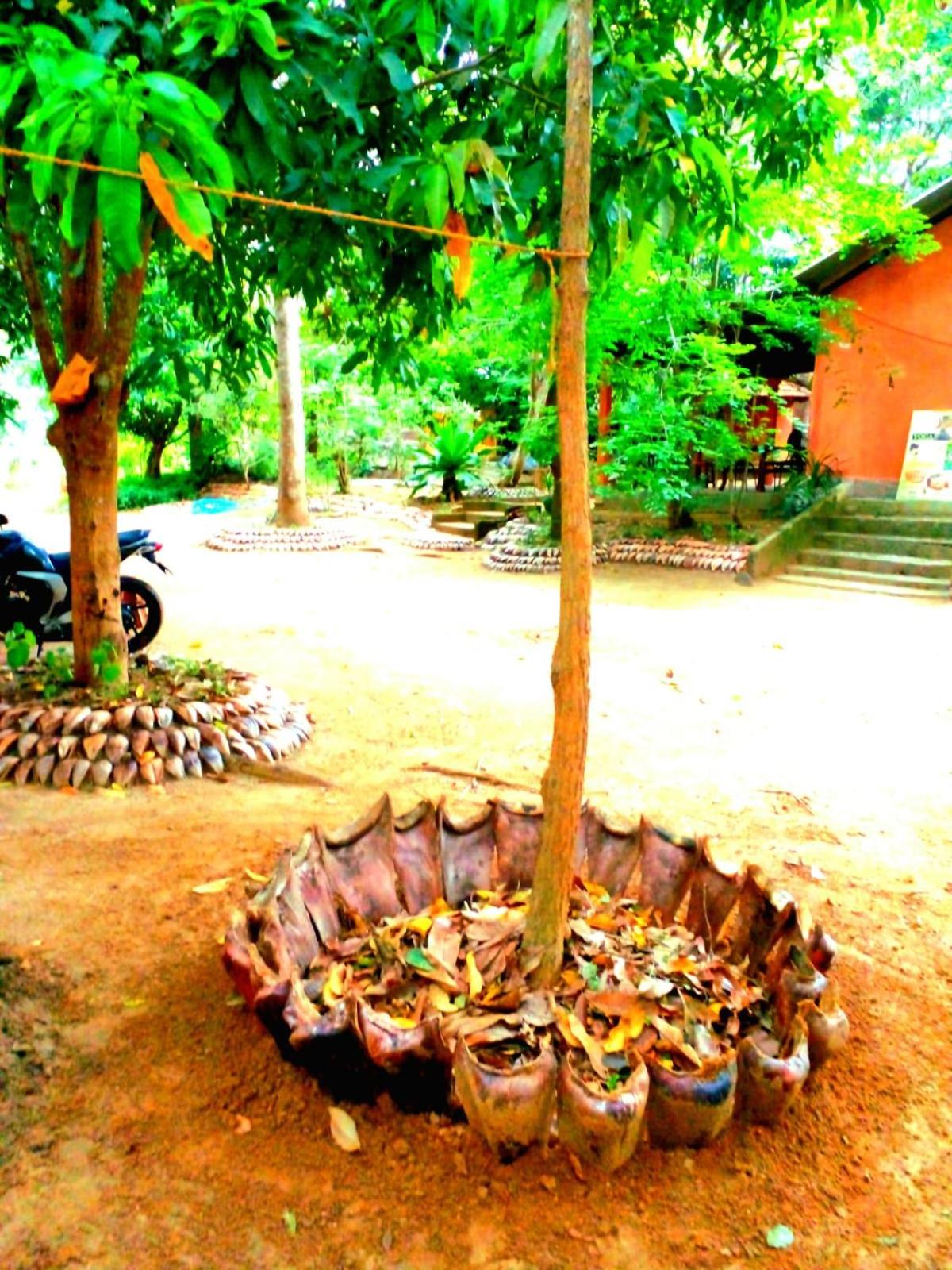 Habarana City Hostel