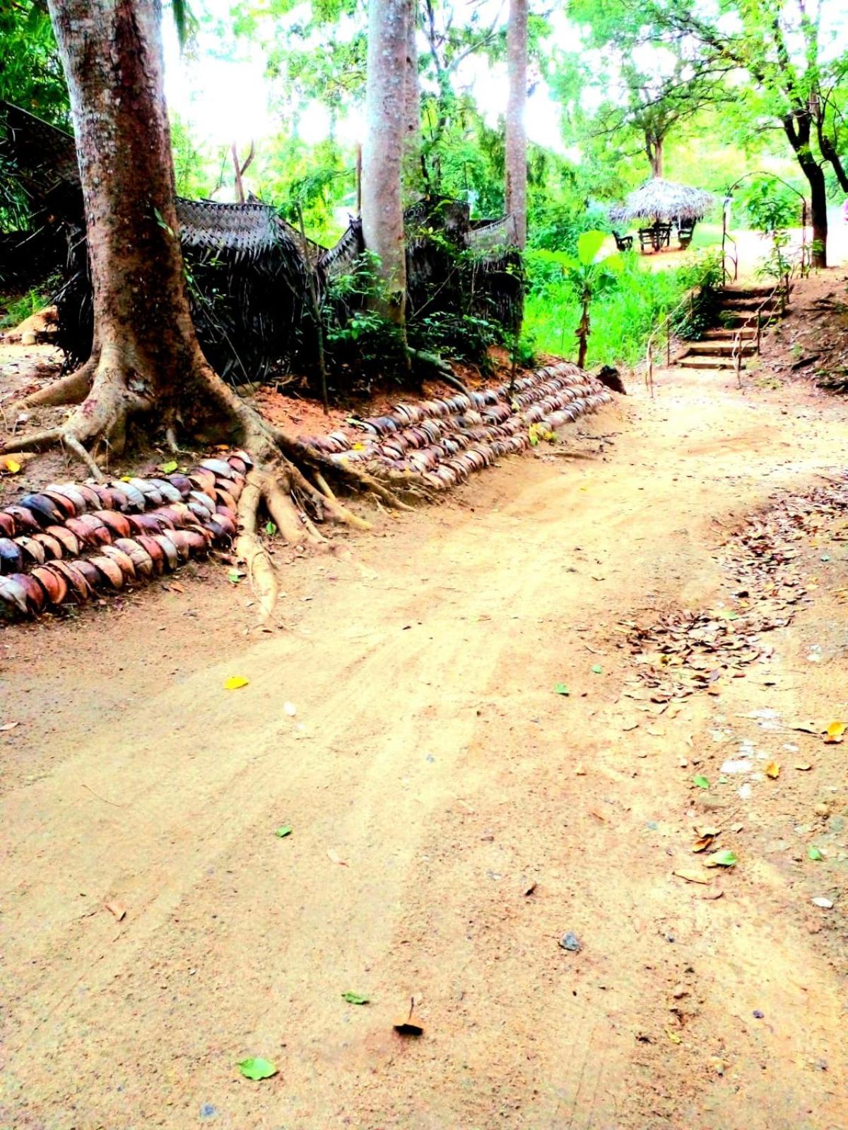 Habarana City Hostel