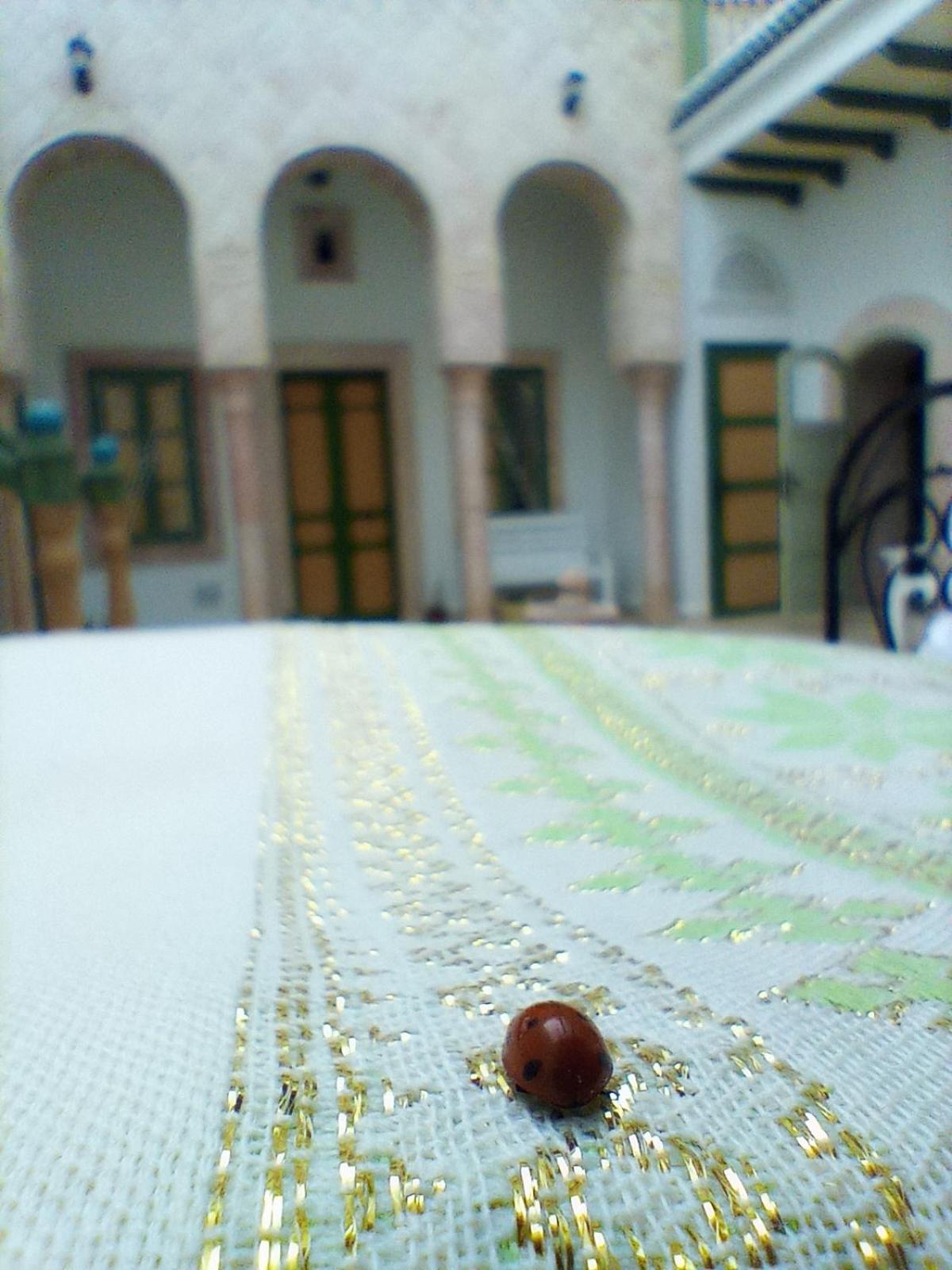 Photo 13