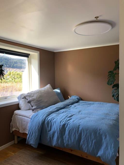 Cosy aparment in Bergen