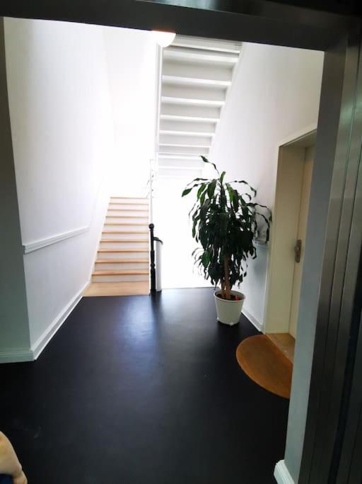 SC 07 by ROCKCHAIR Apartments l SUPERHOST Status l 2,5 Bedrooms Boxspringbeds Balcony Elevator welcomes you!