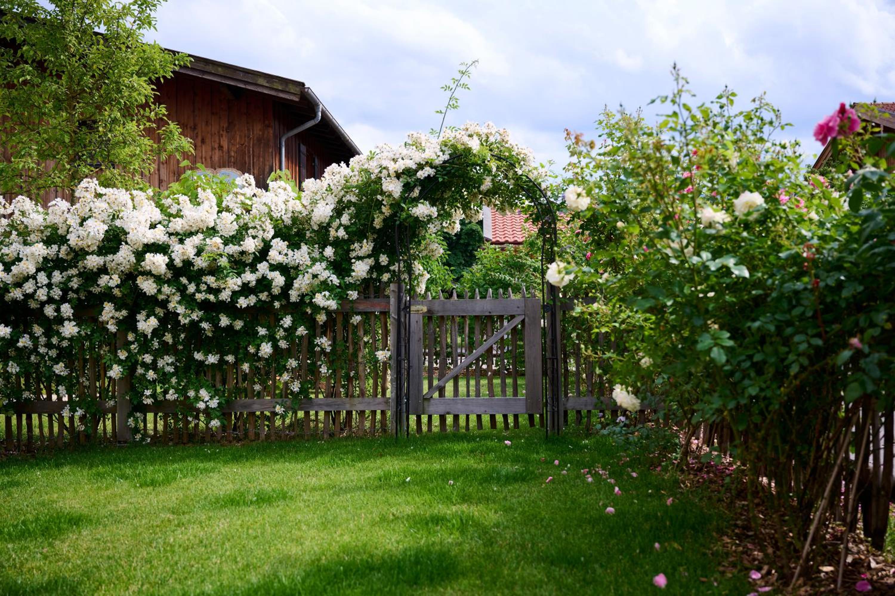 Alpenseensucht Natur Ferienapparte