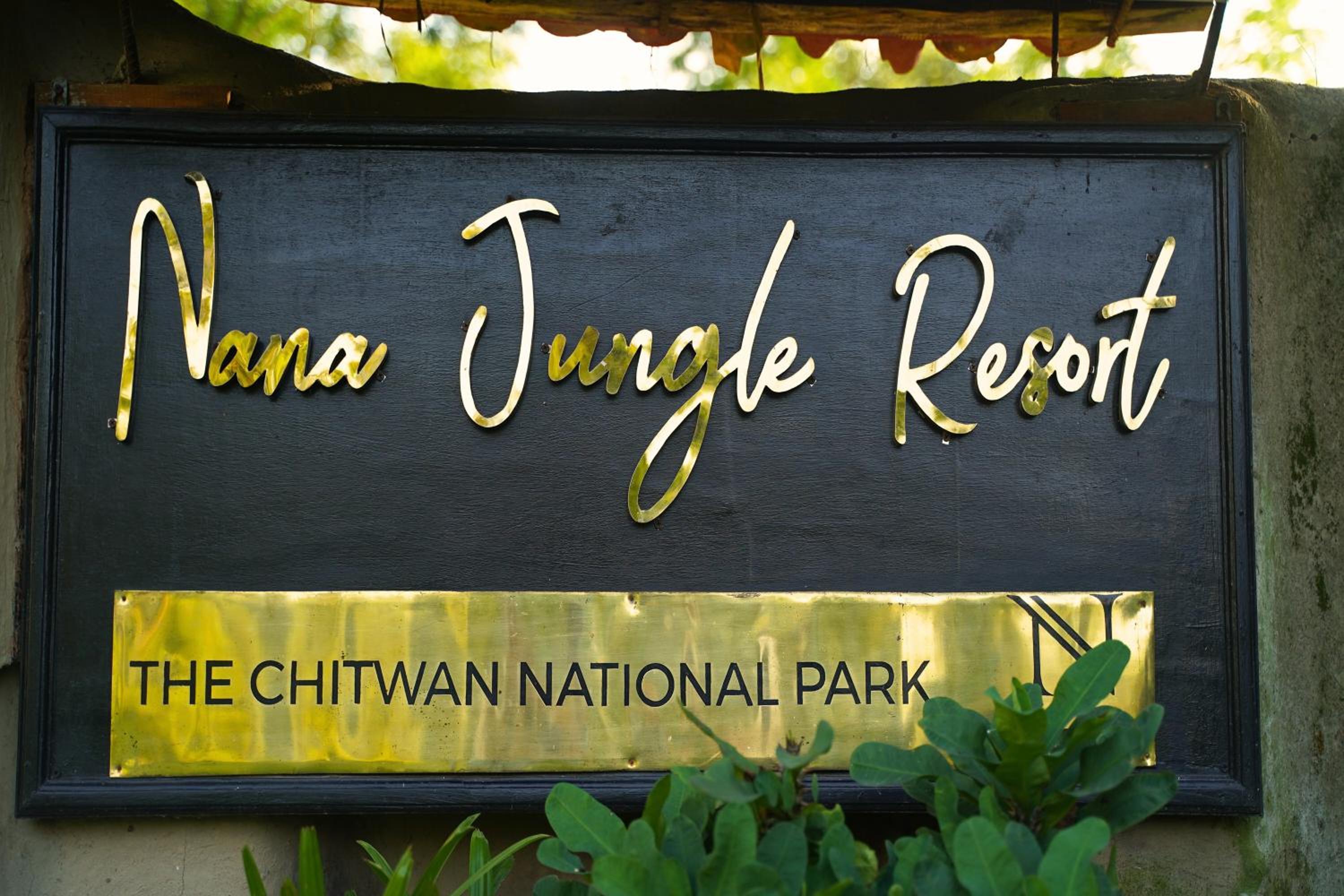 Nana Jungle Resort Near Chitwan National Park