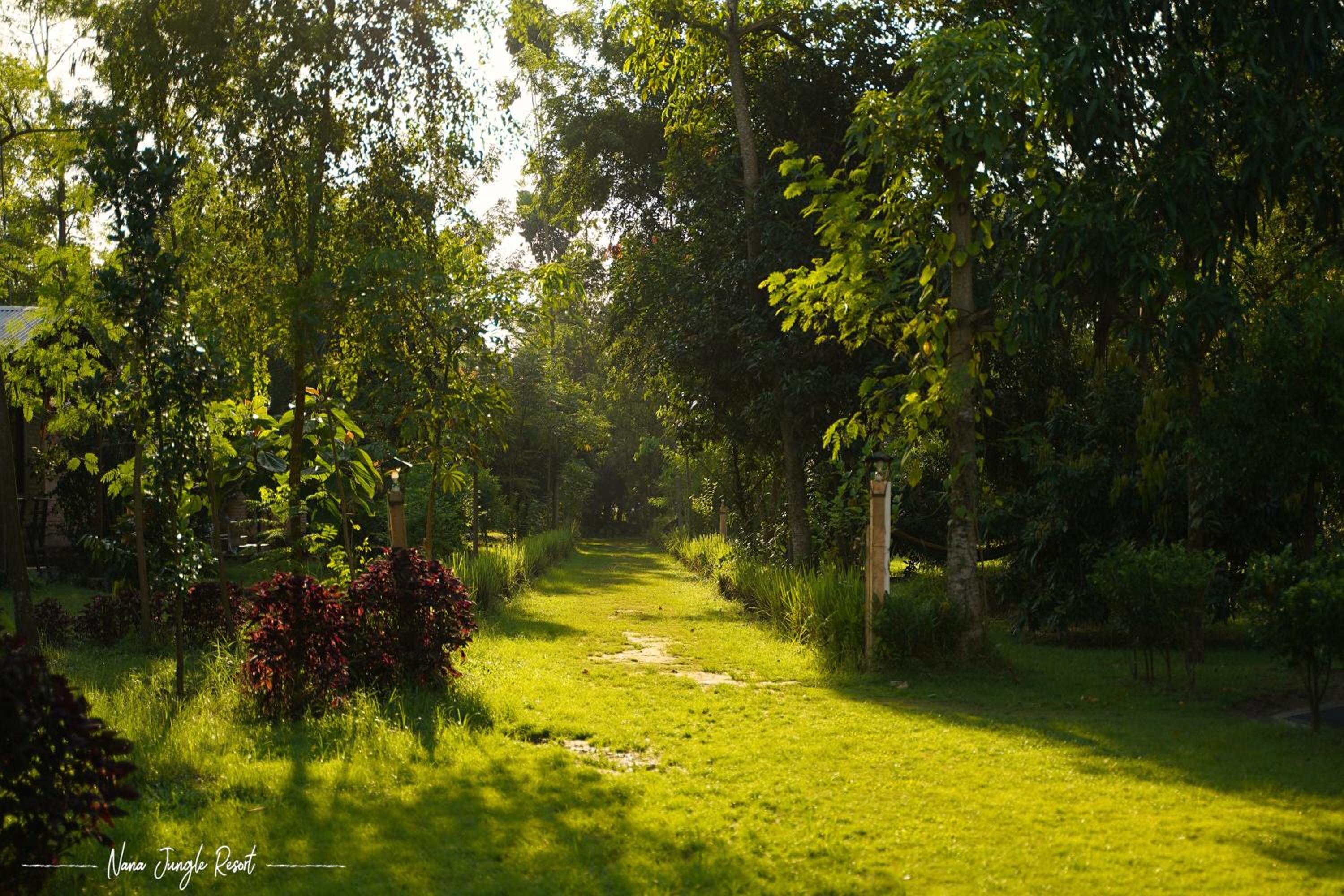 Nana Jungle Resort Near Chitwan National Park