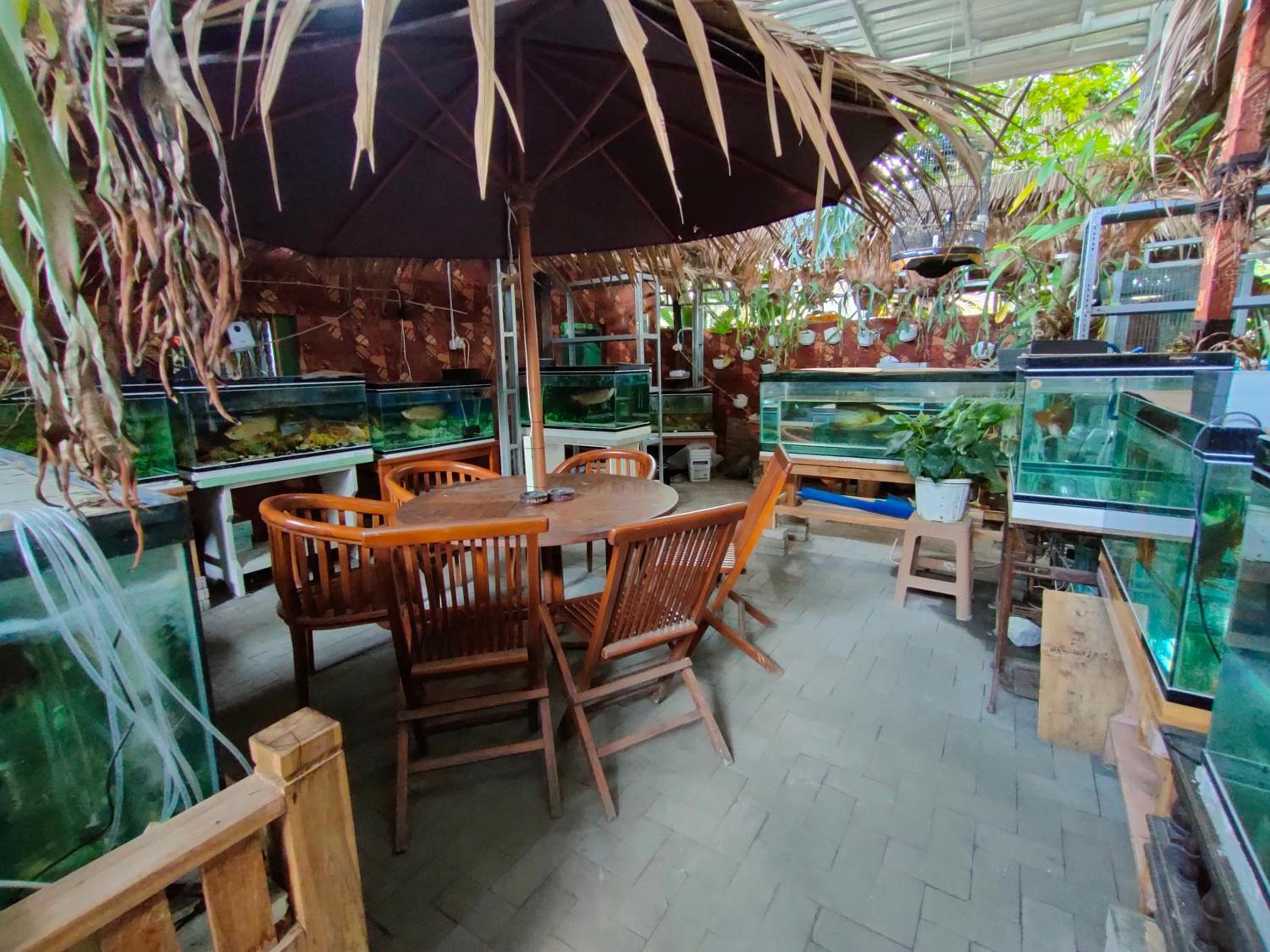 LAISSYA GUEST HOUSE YOGYAKARTA