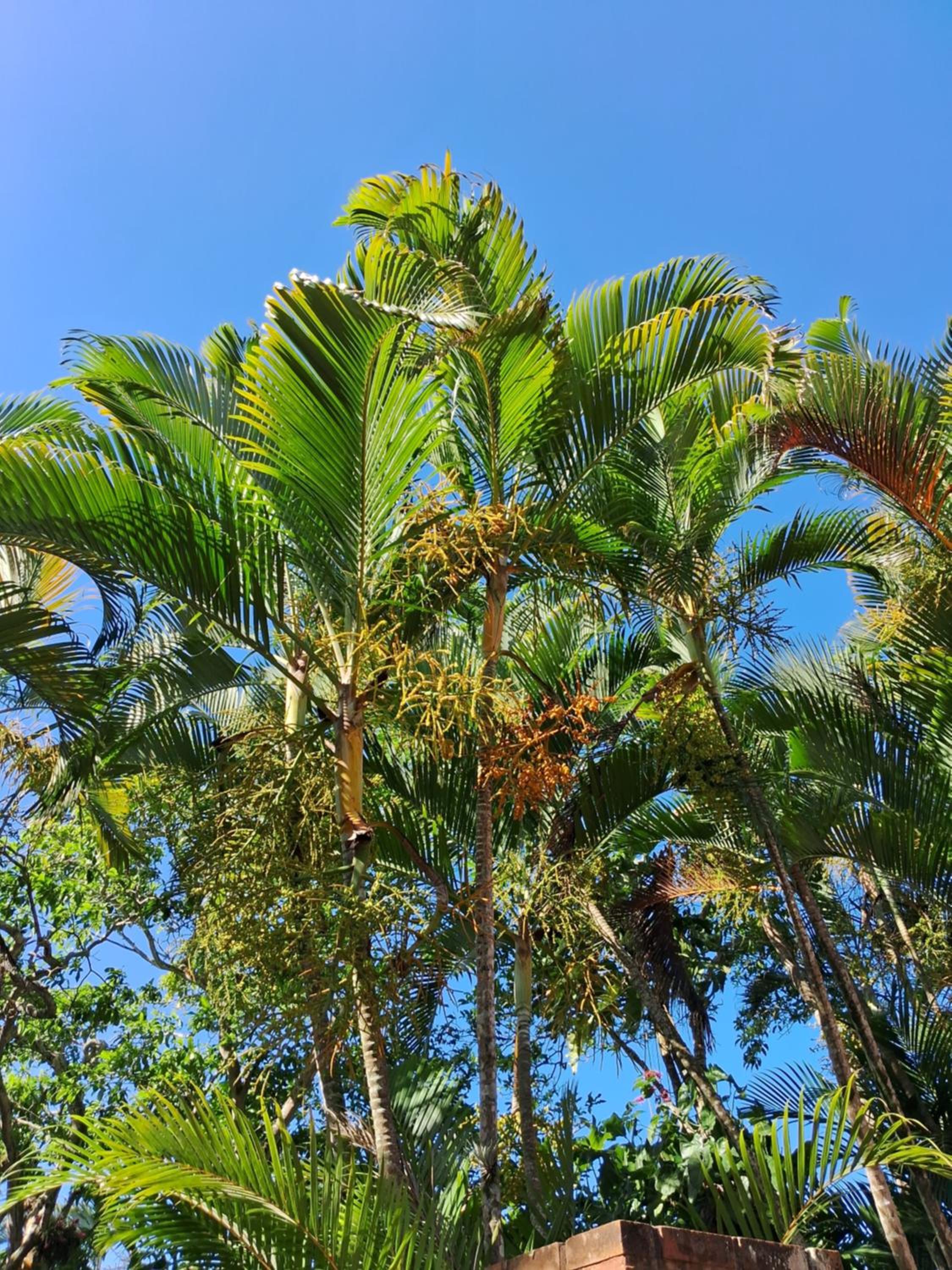 Casa da Praia Costazul