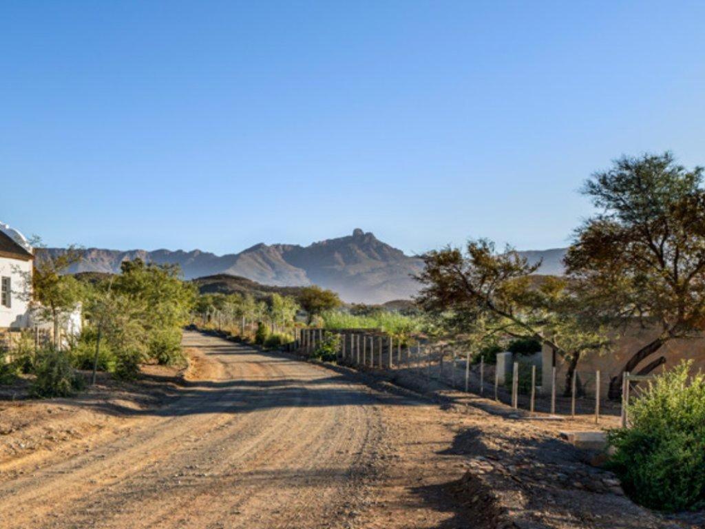 Buffelsdrift Farm
