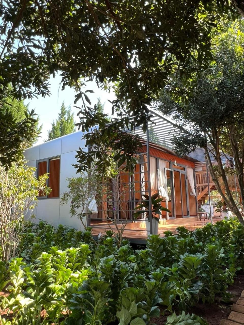 Mongo Garden view 2