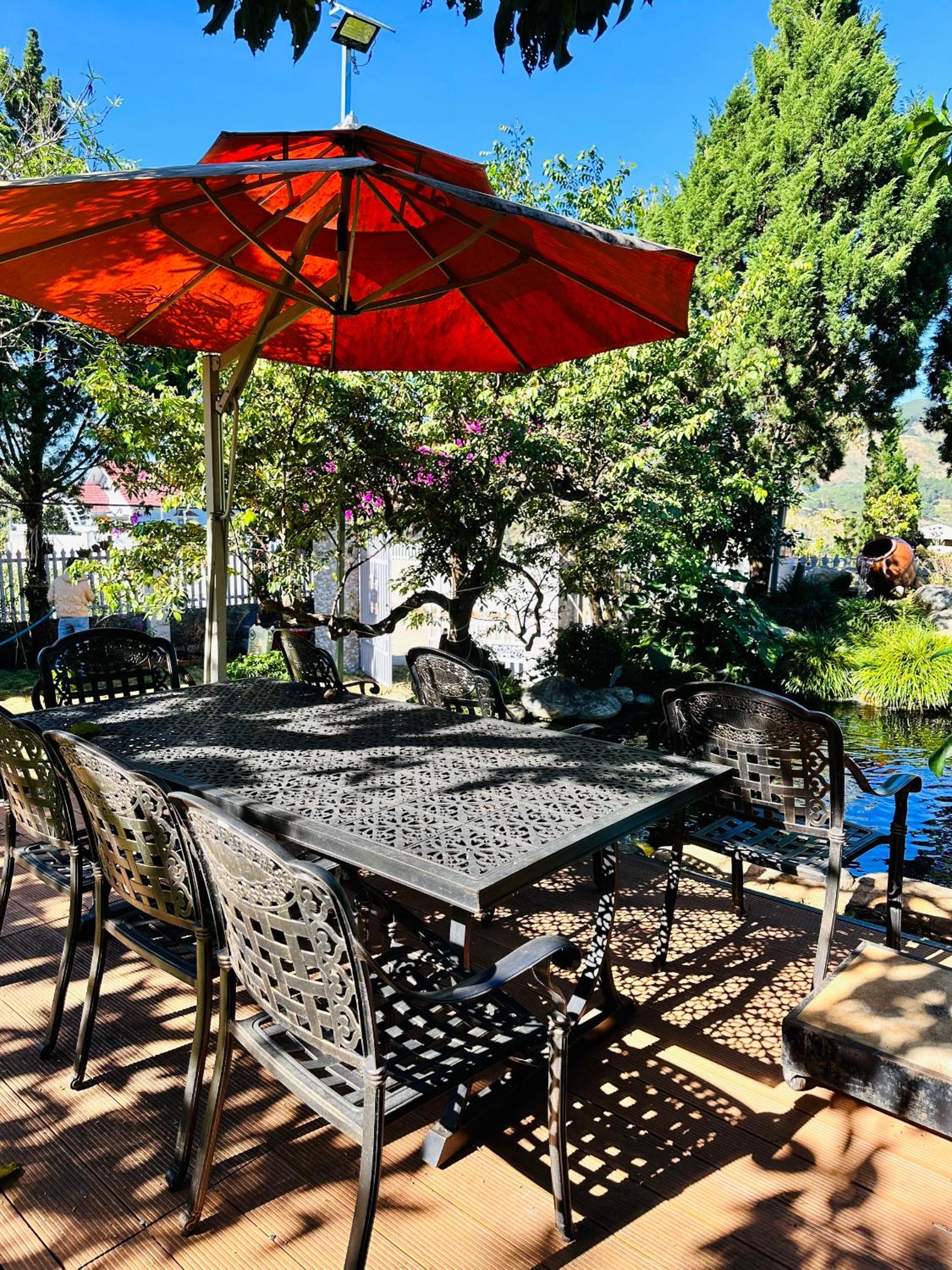 Mongo Garden view 3
