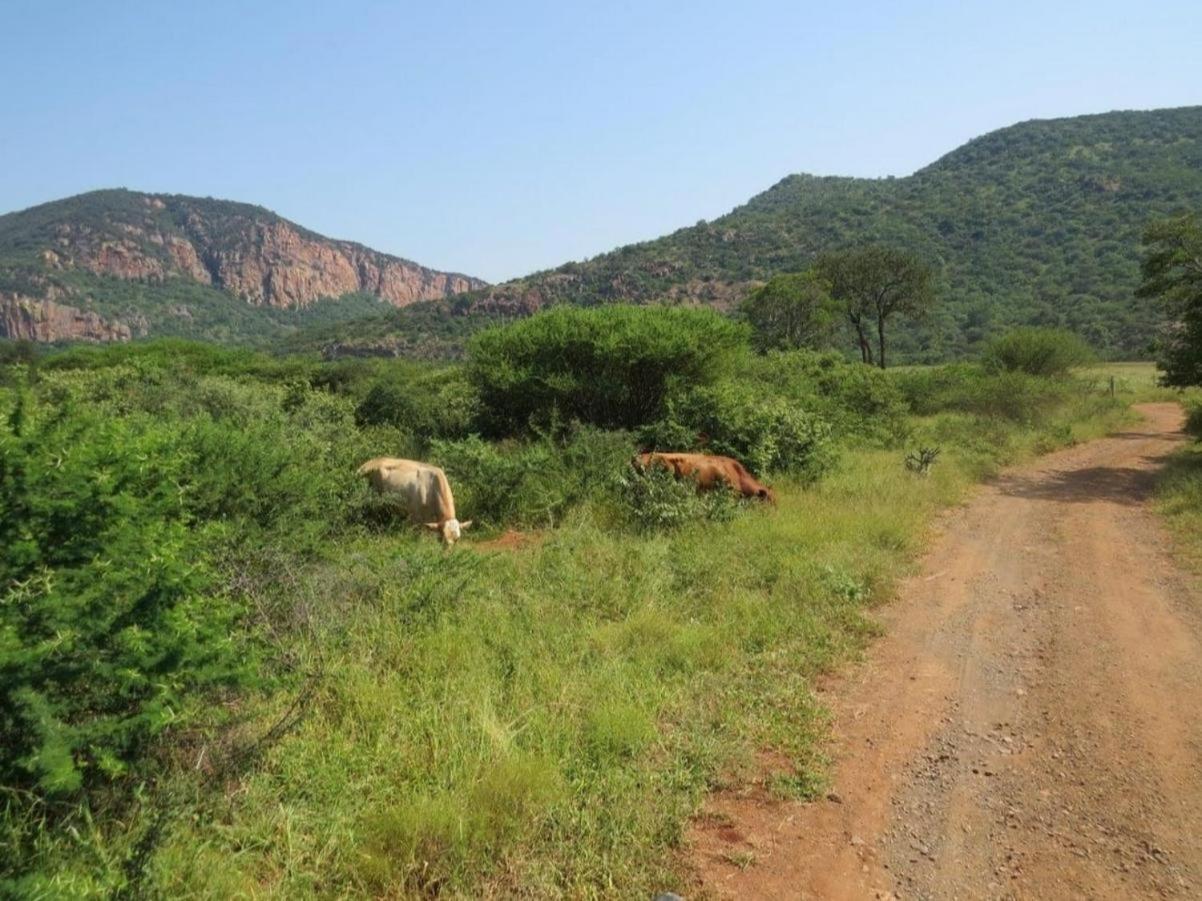 The Anza Lifestyle Lodge view 2