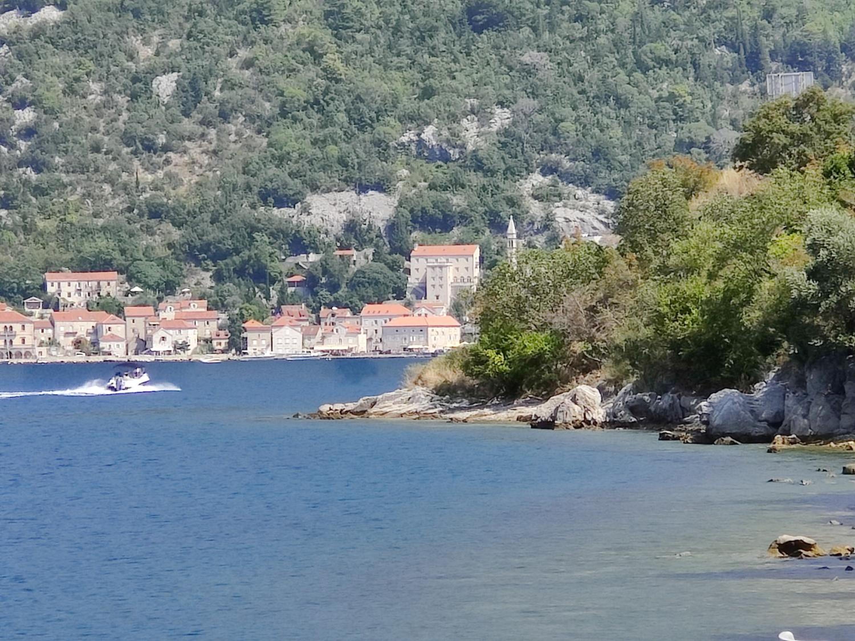 Miro guesthouse