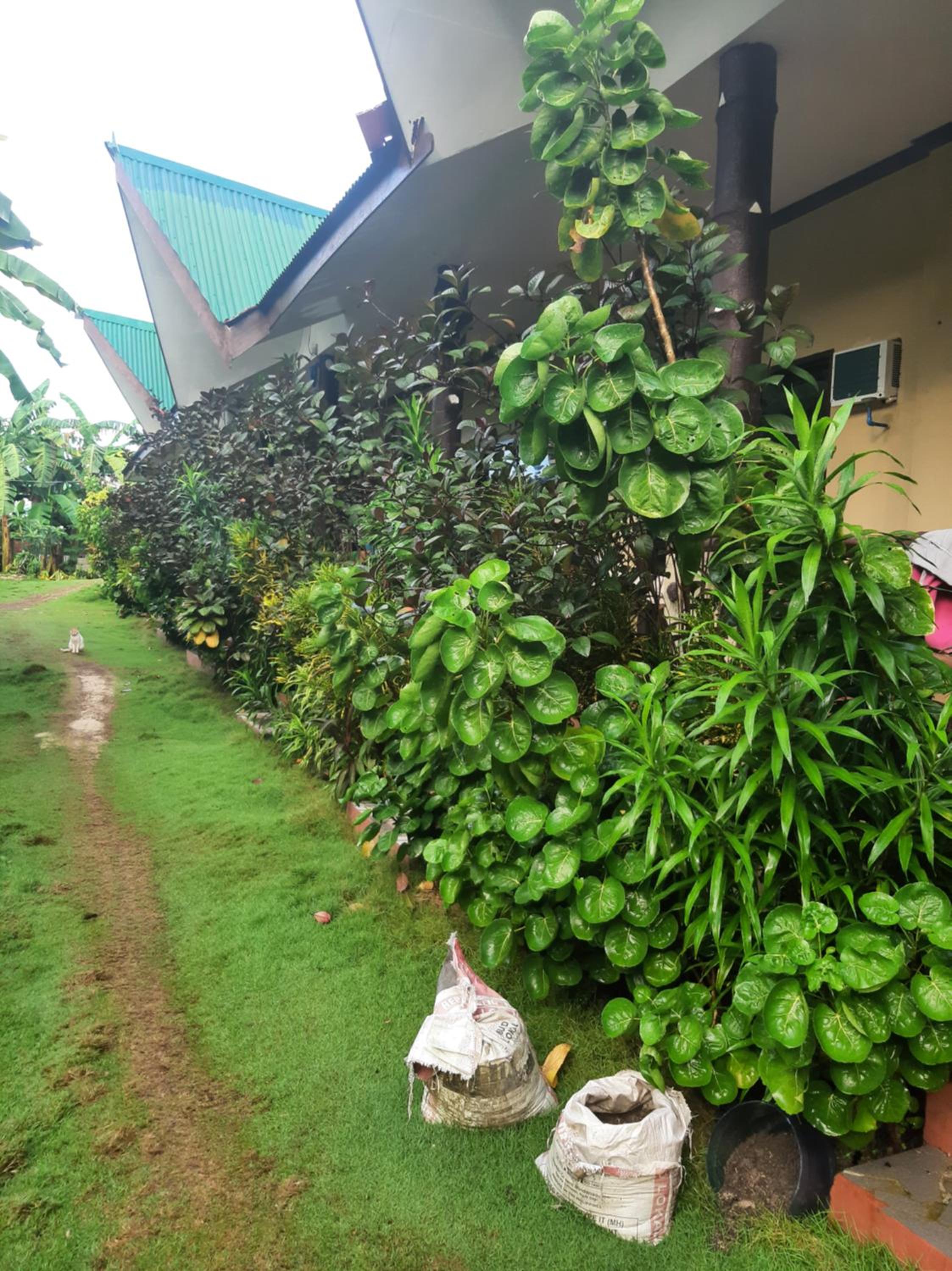 ORALIZA RESIDENCE HOUSE RENTAL