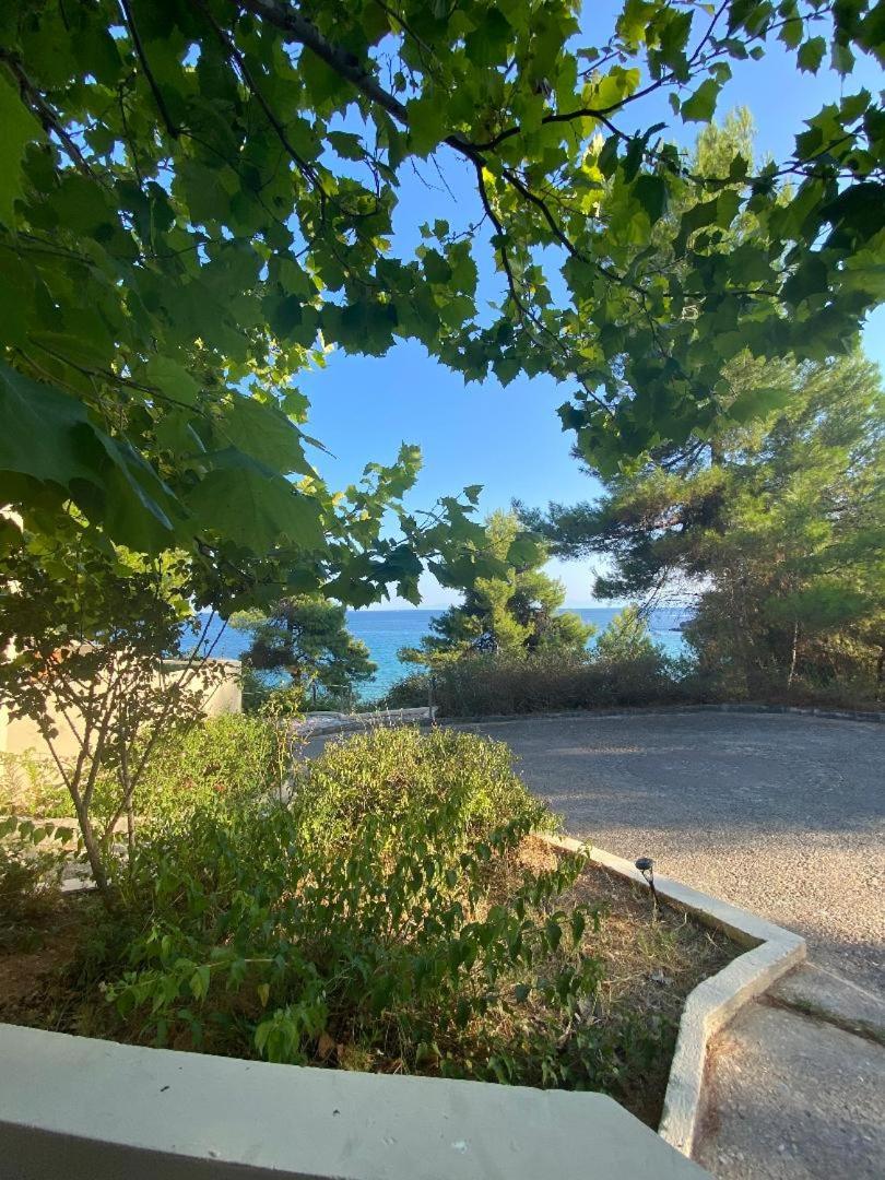 Alonissos Beach Bungalows And Suites Hotel