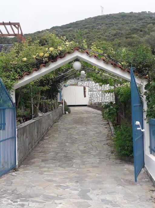 LEMON TREE GARDEN near Mirtos beach view 5