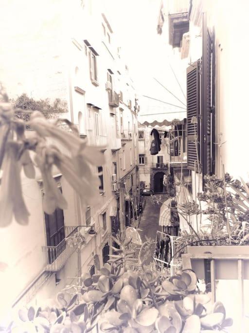 4P Casa Home