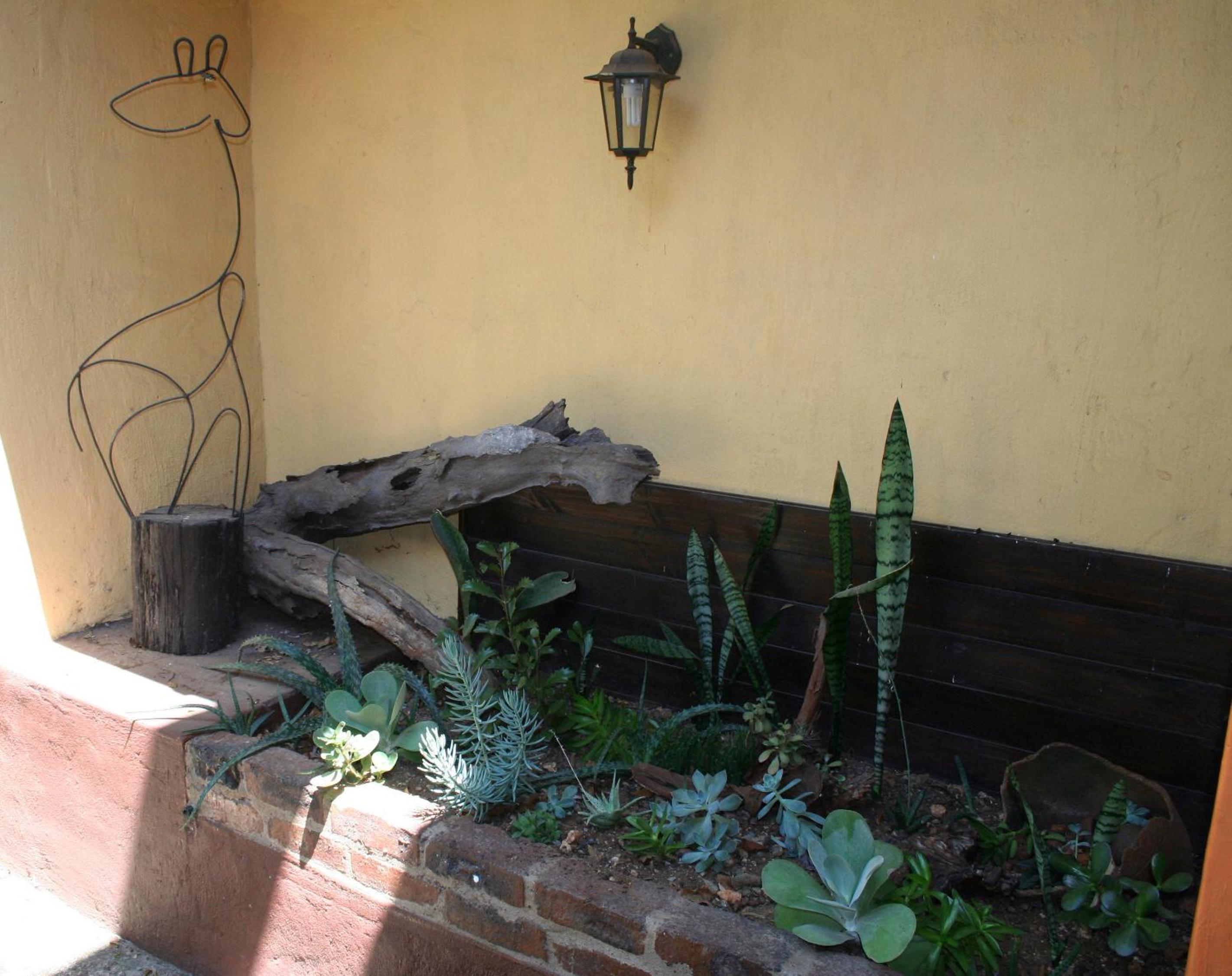 Photo 49