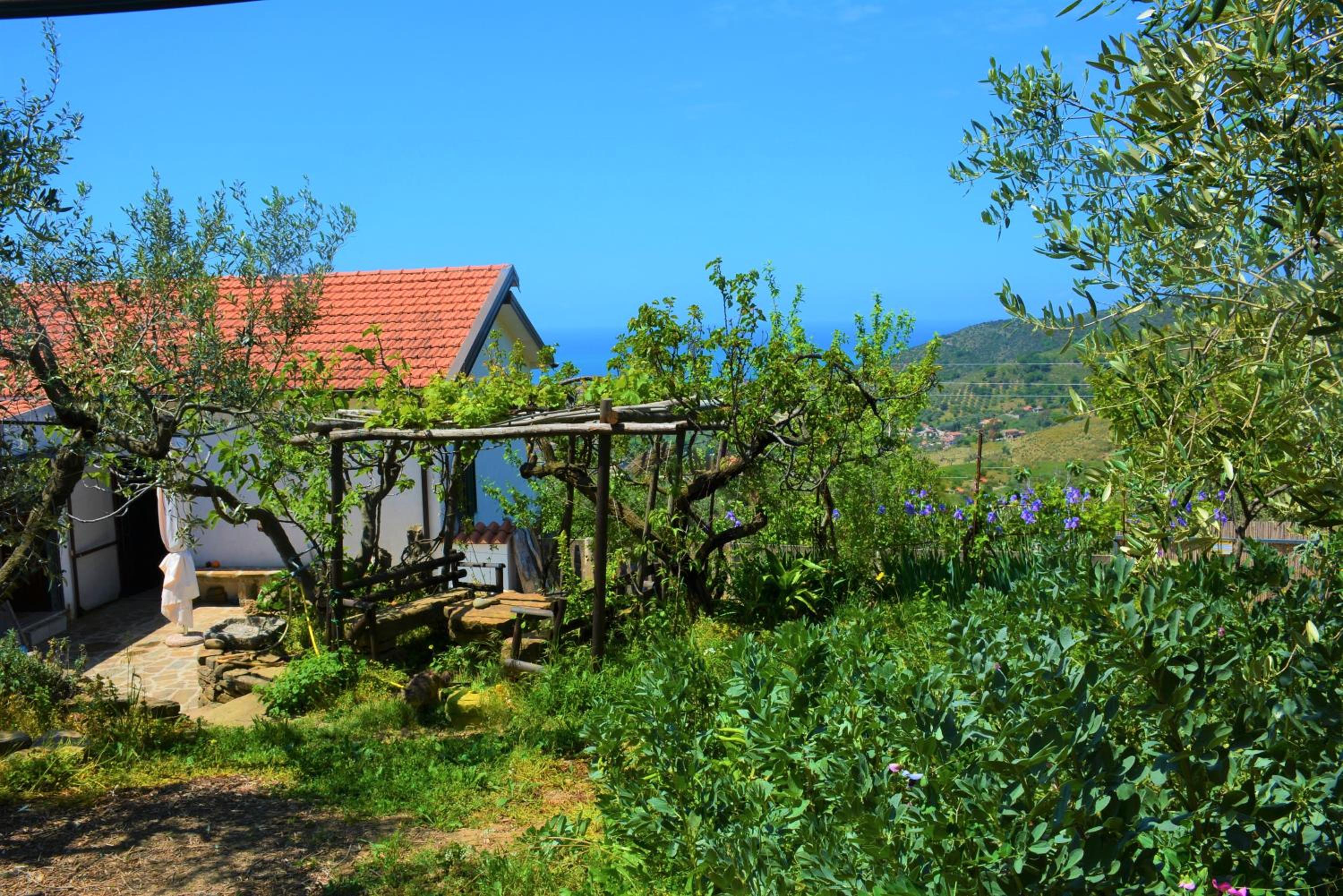 Photo 25