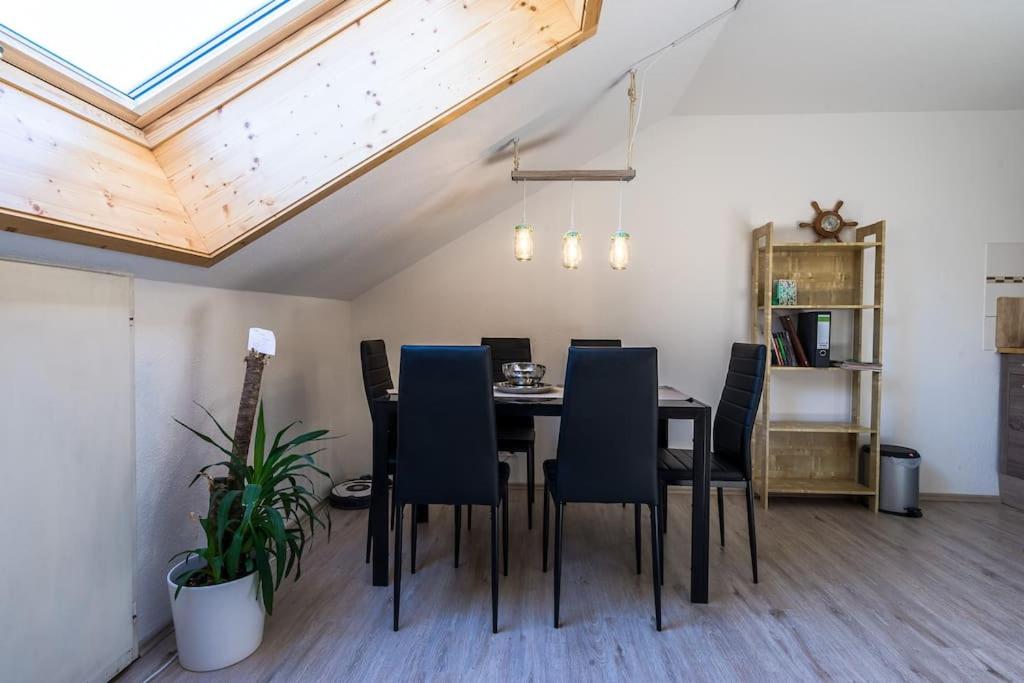 Newly renovated apartment