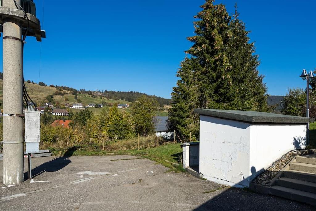 Newly renovated apartment