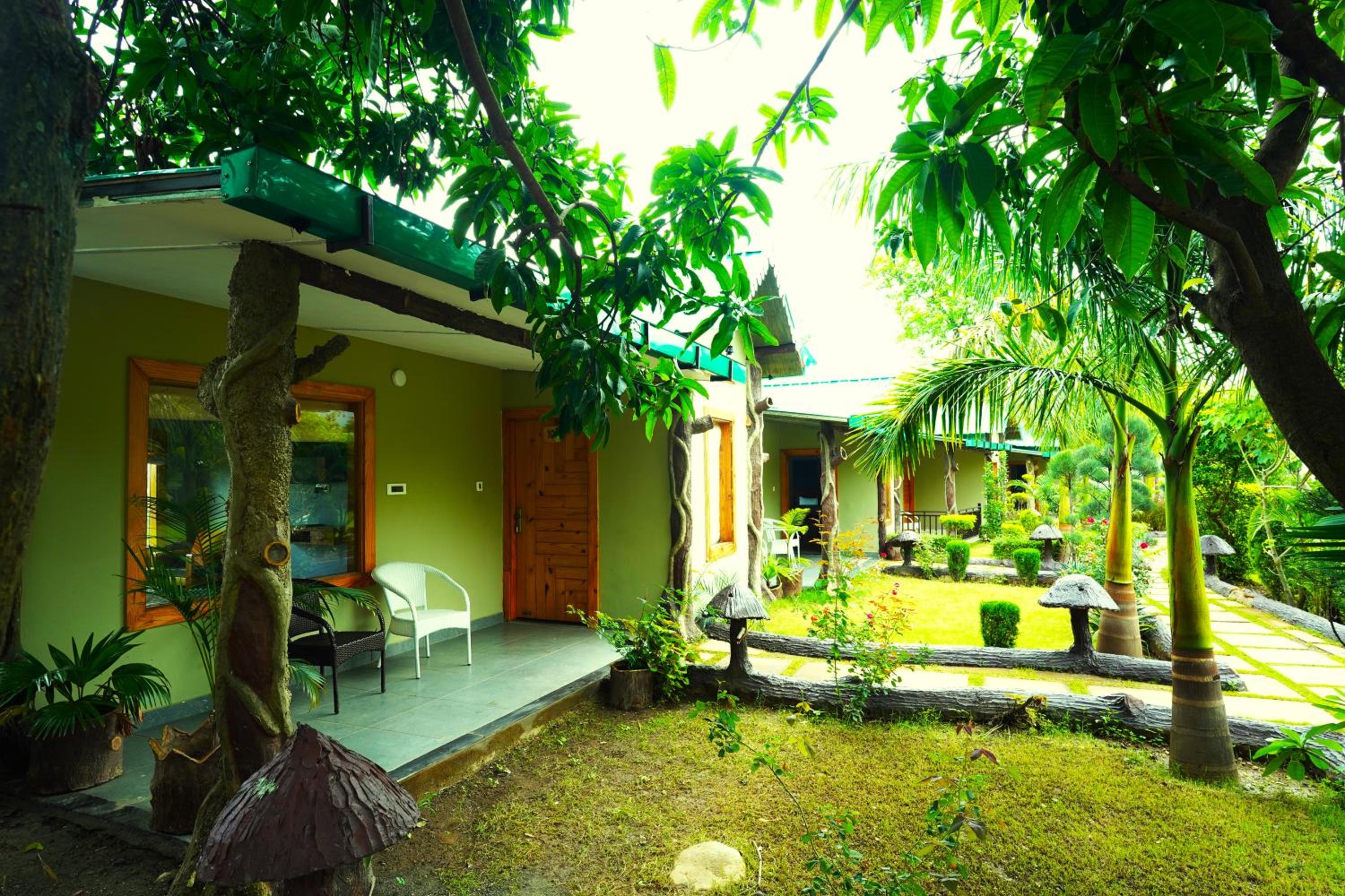 Photo 7