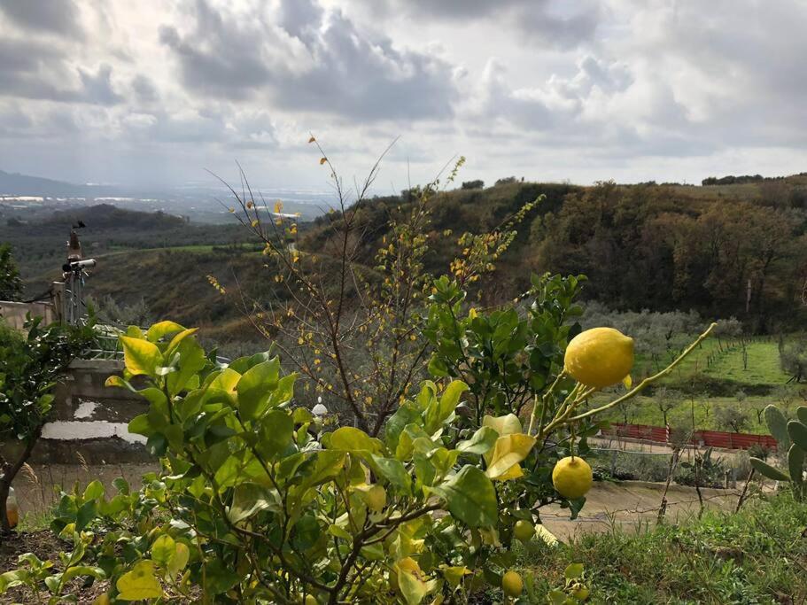 Casa nonna Rosa view 5