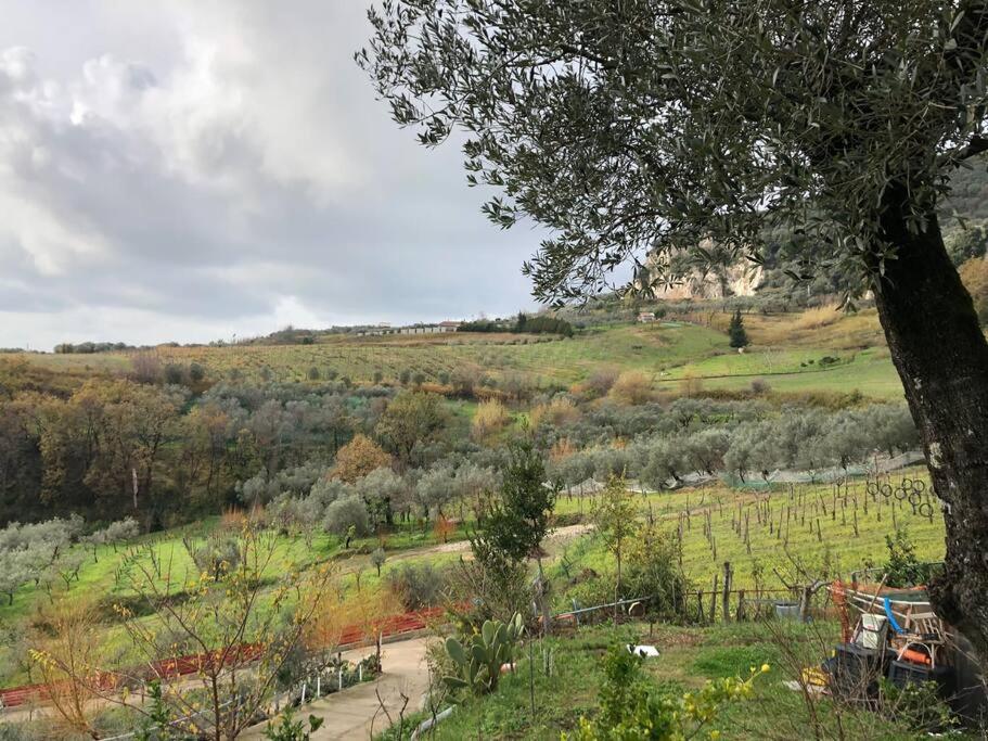 Casa nonna Rosa view 4