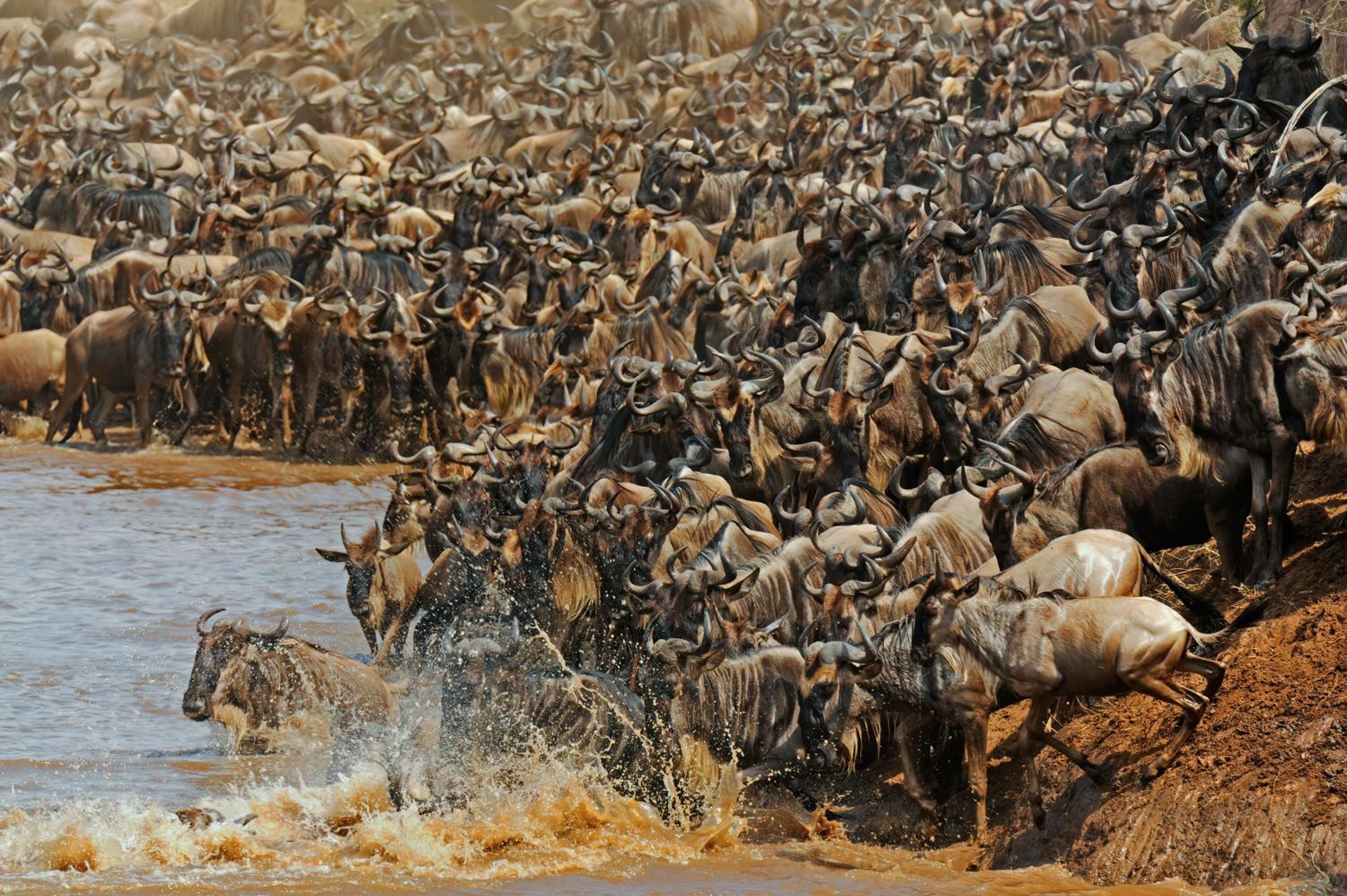 Masai Mara Vacations - Soroi Mara Bush Camp - Property Image 12