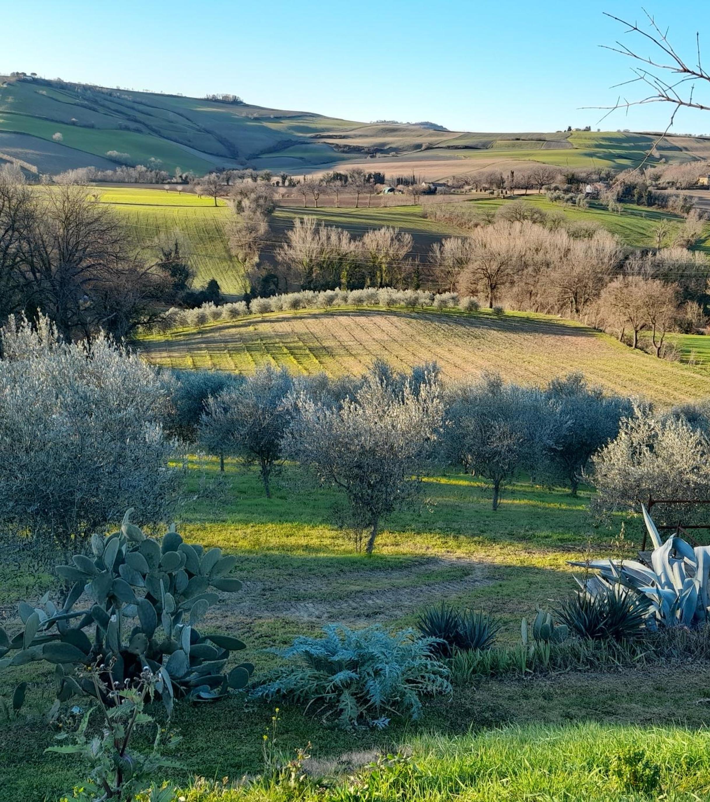 La luna nell'orto-casa vacanza ecologica e agricoltura biodinamica