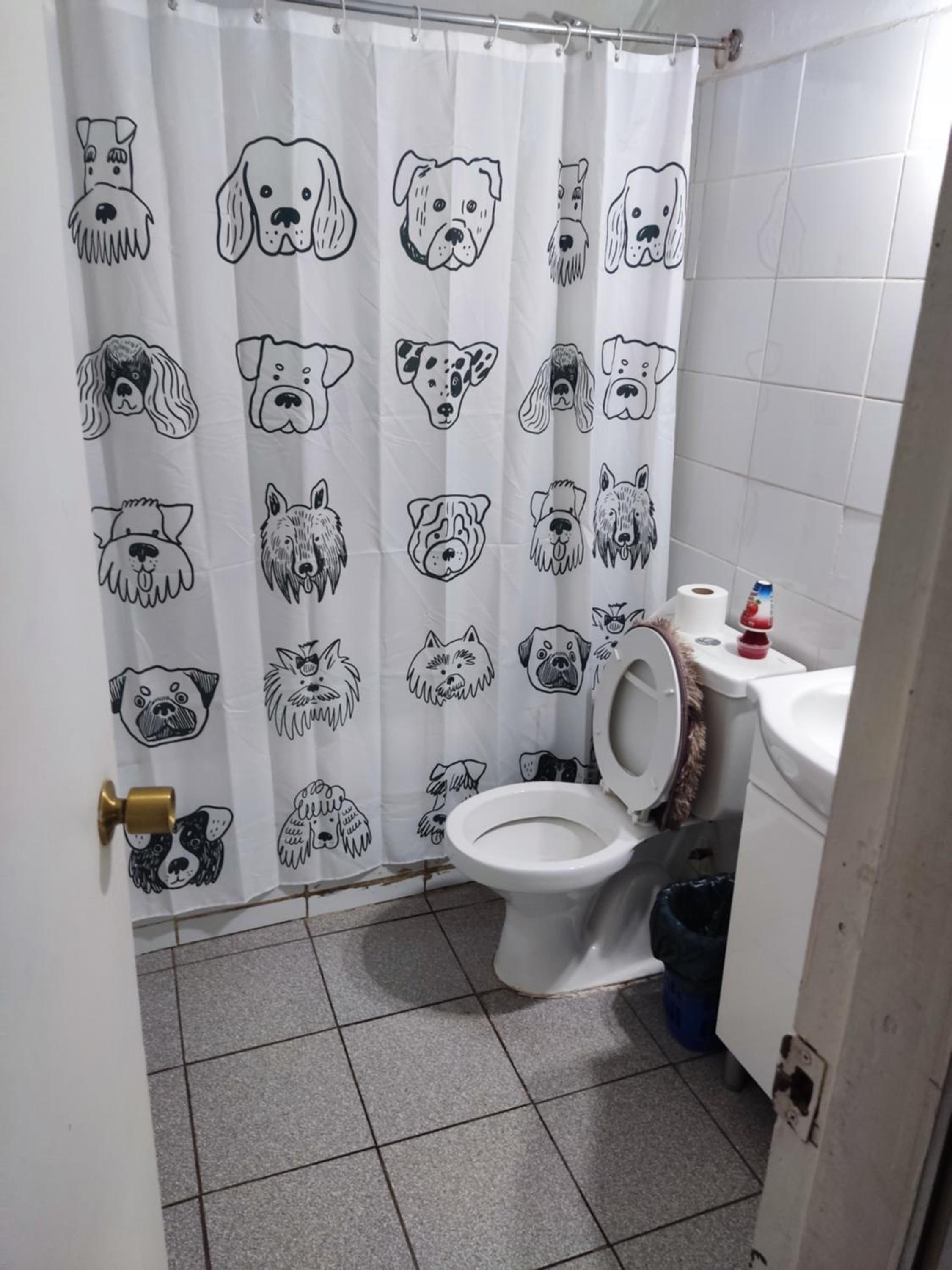 Hostal NF rocket