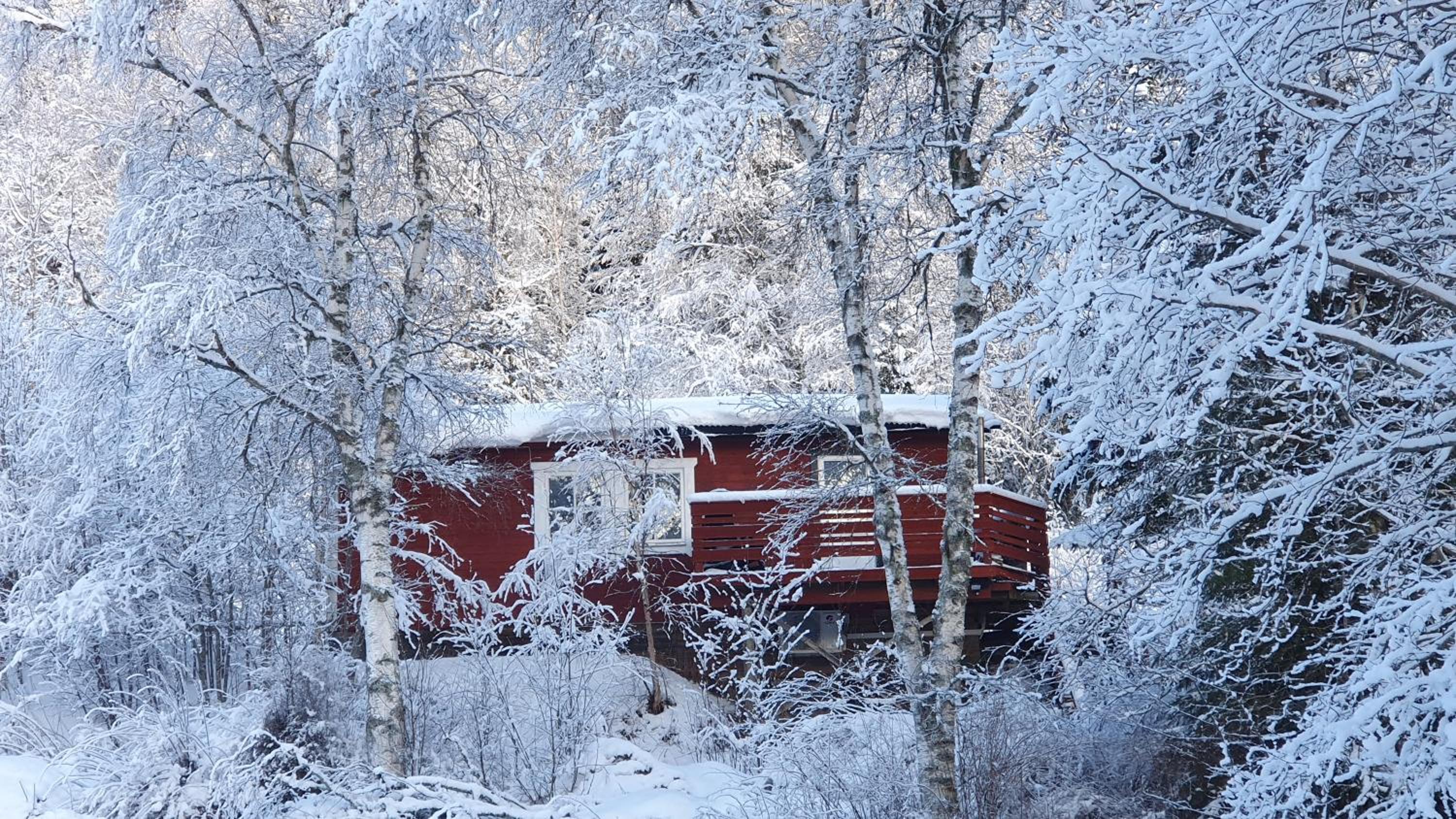 Vikinggård Cottages view 4