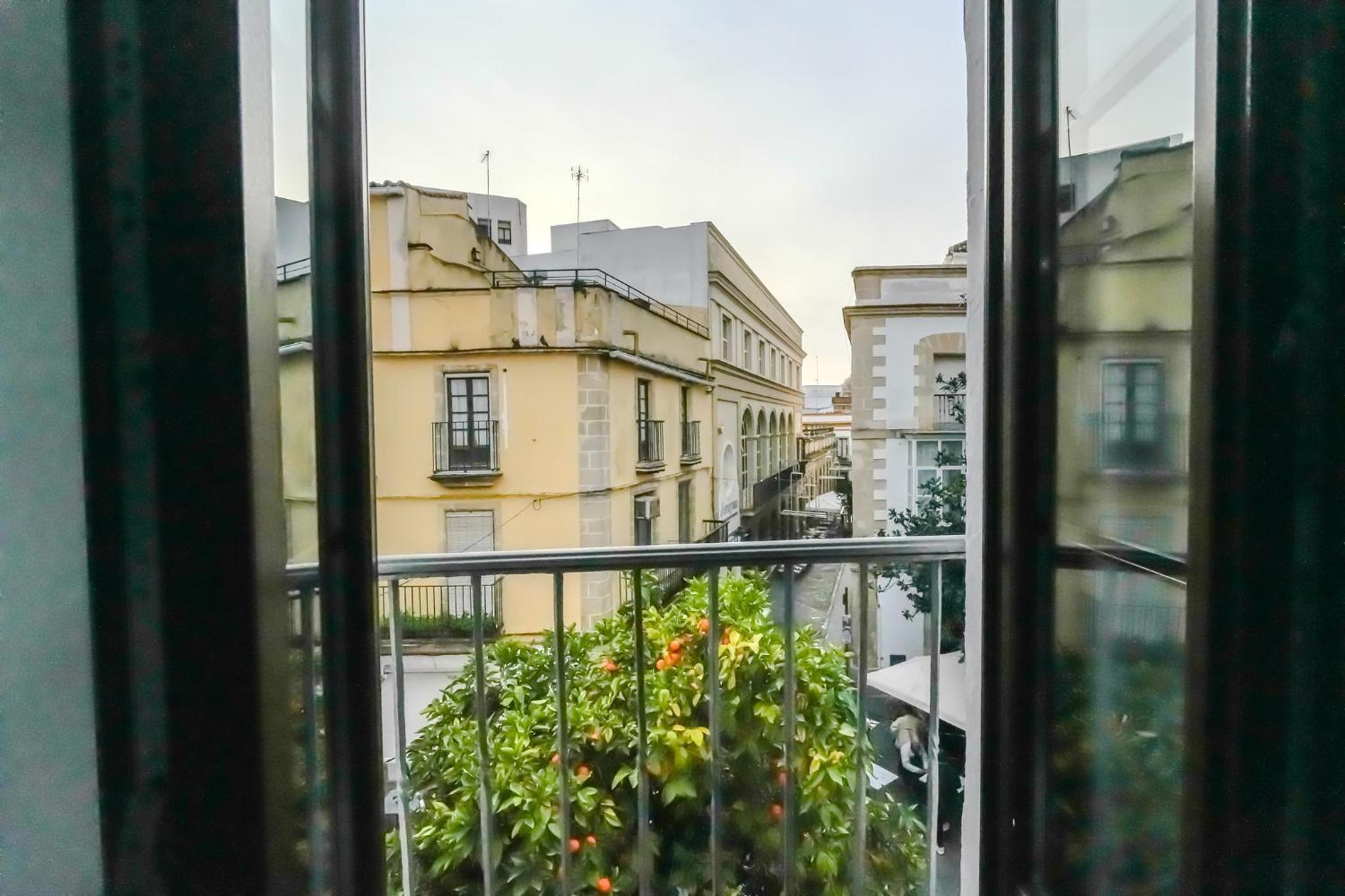 Apartamentos Consistorio Live