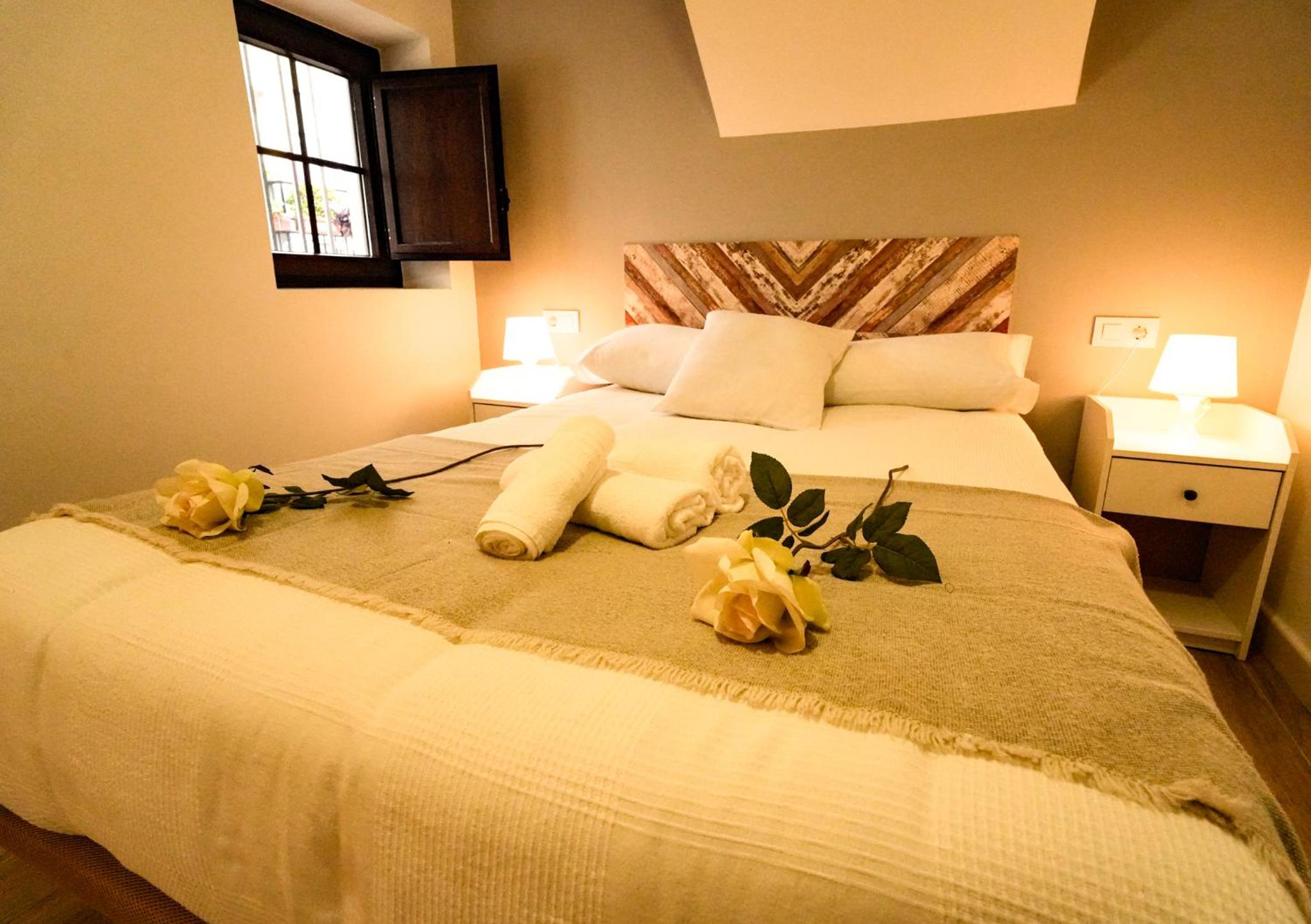 Apartamentos Consistorio Live