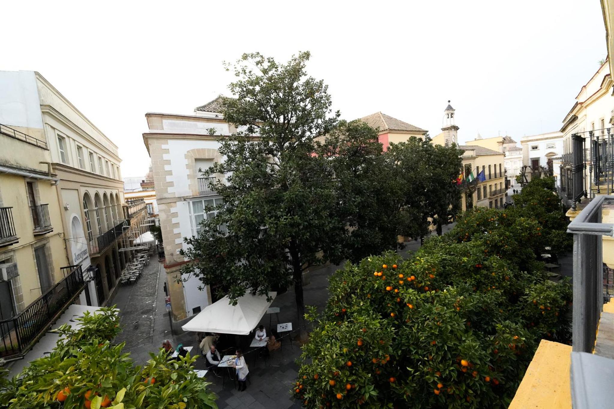 Apartamentos Consistorio Live