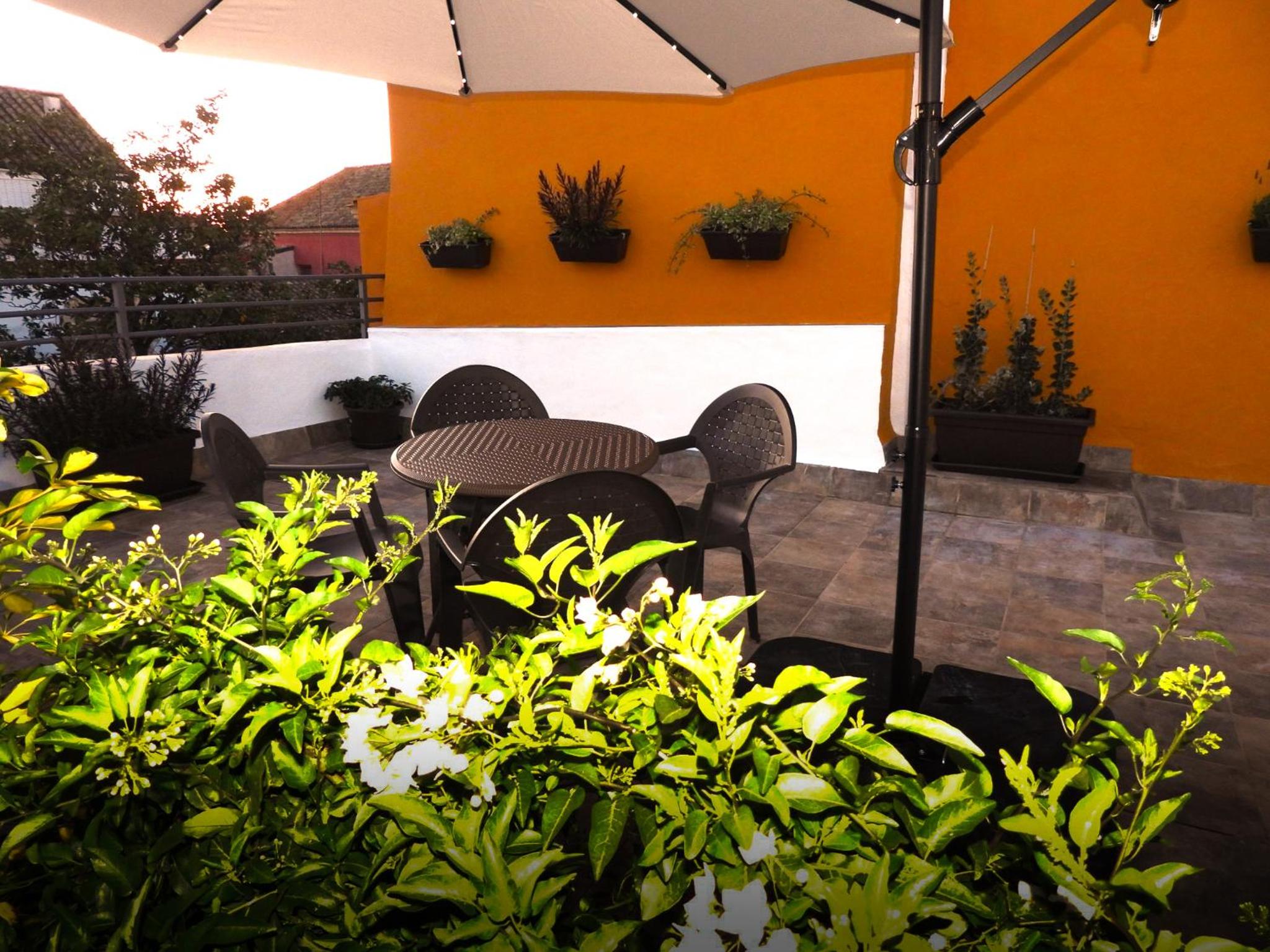 Apartamentos Consistorio Live