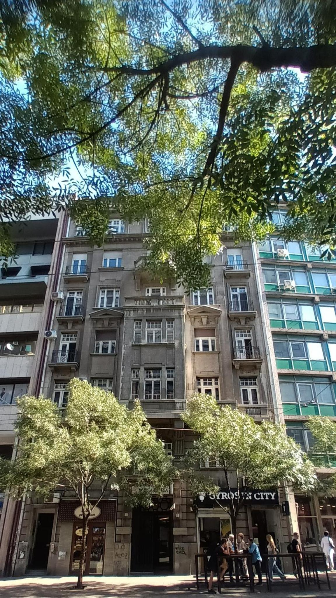 Photo 8