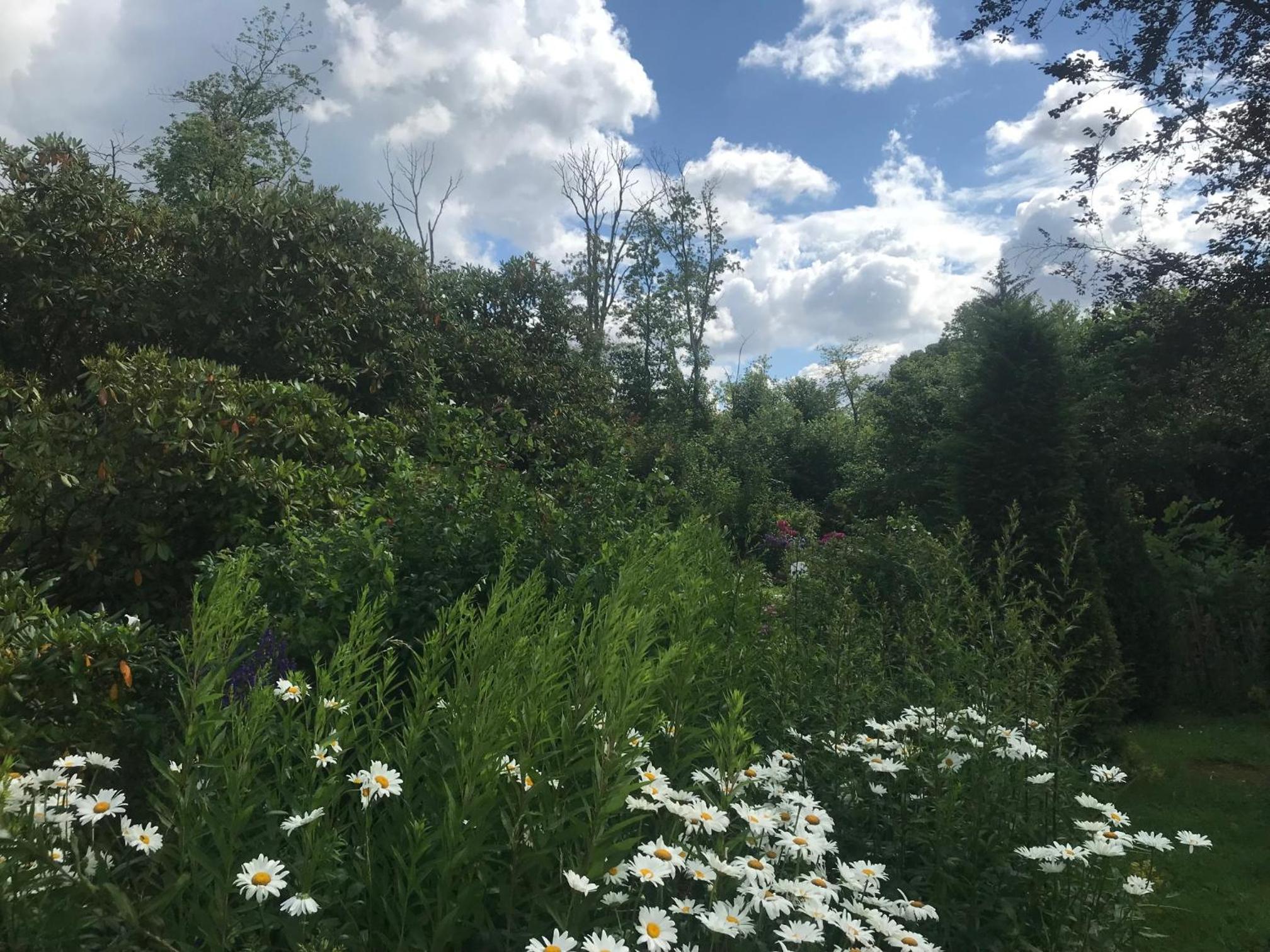 Ferienwohnung Country Garden - Naturpark Schlei