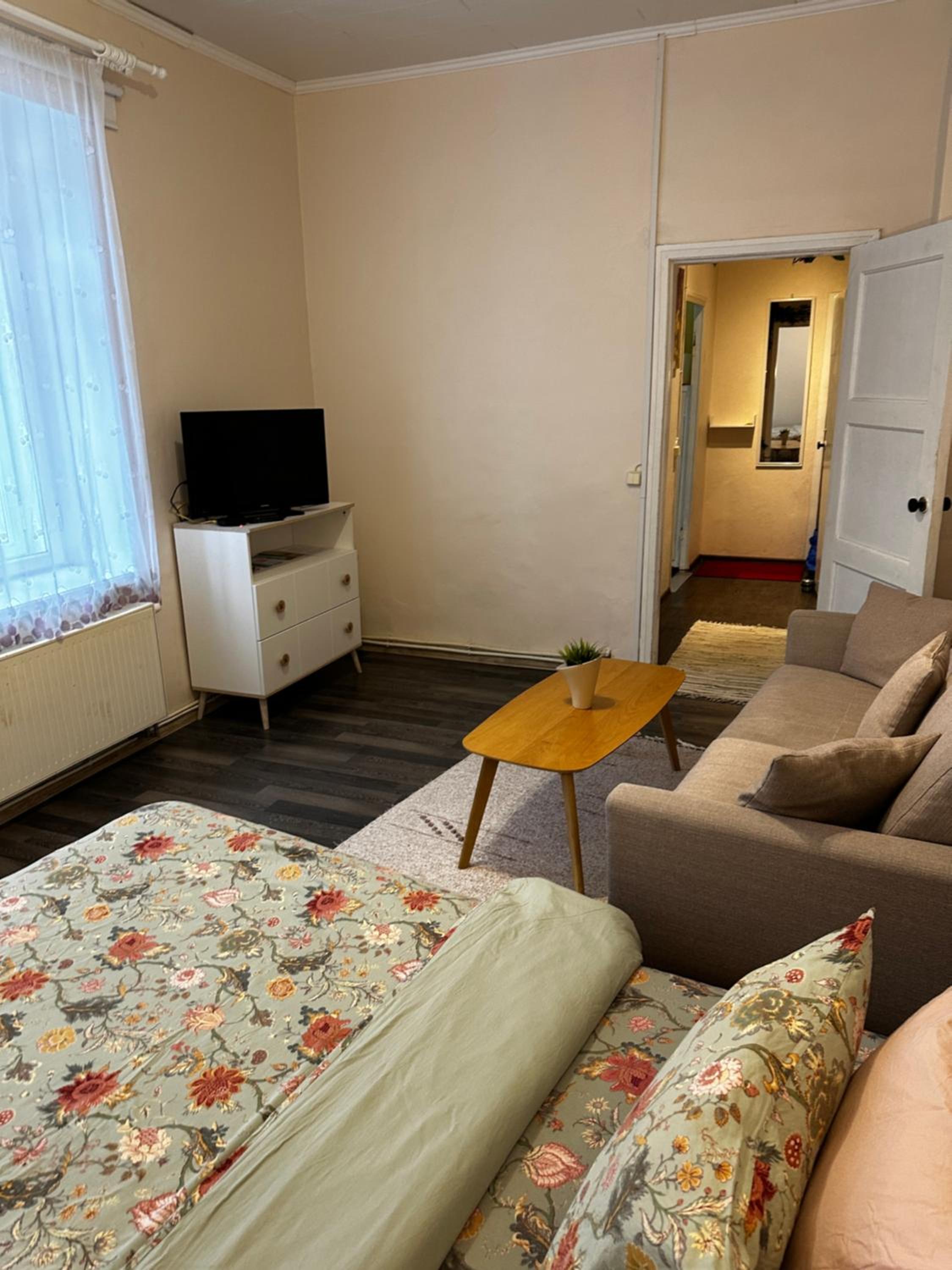 1 Bedroom Apartment near Kadriorg Swan Pond