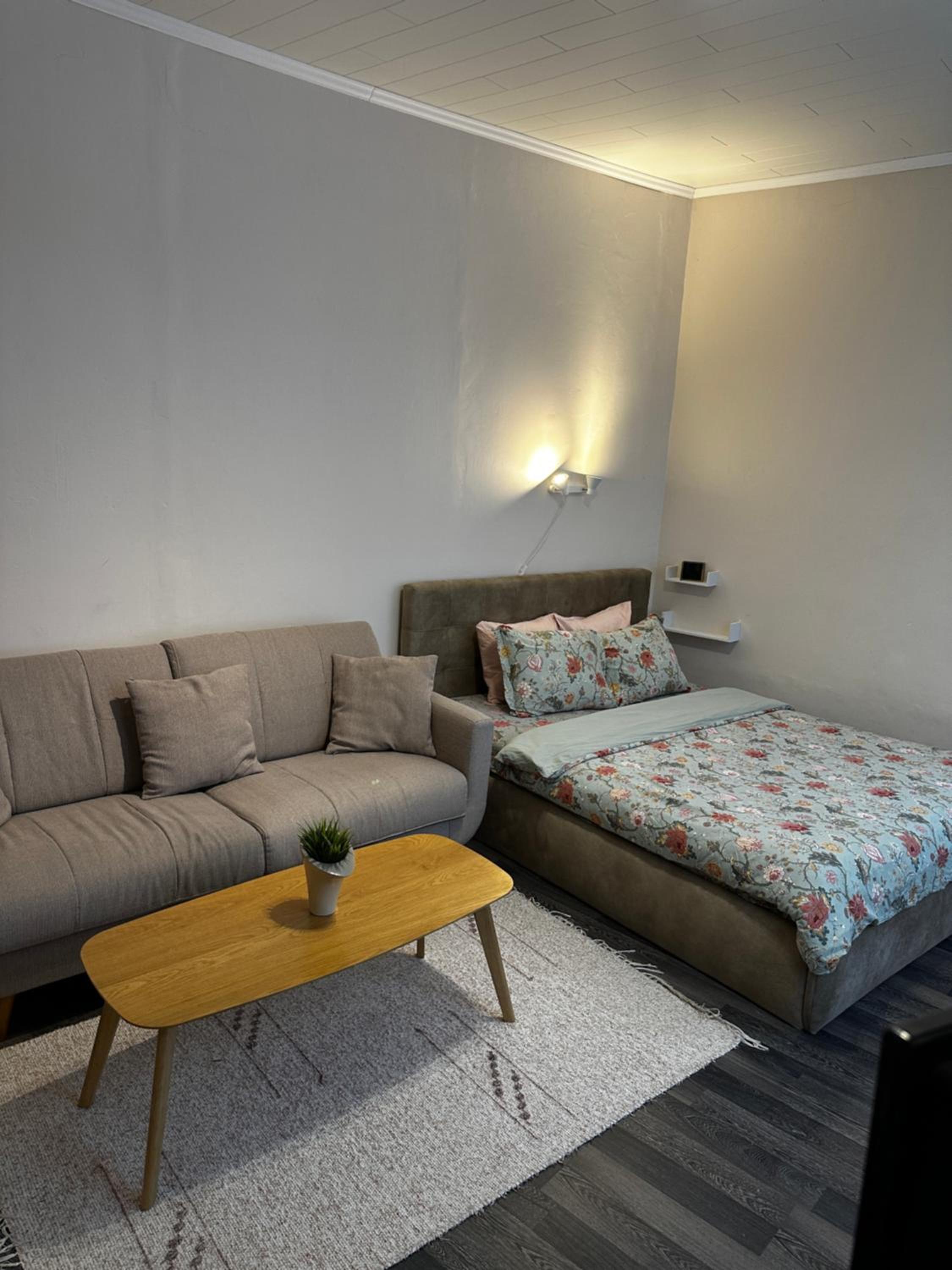 1 Bedroom Apartment near Kadriorg Swan Pond